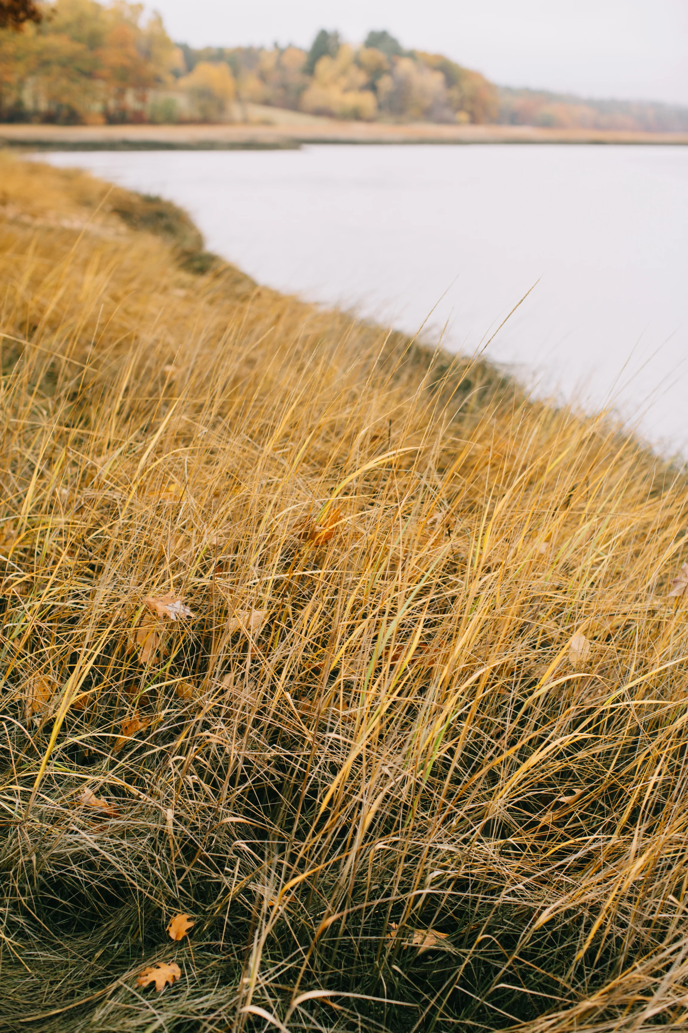 CindyGiovagnoli_Wiscasset_Maine_farm_vanlife_fall_autumn-030.jpg