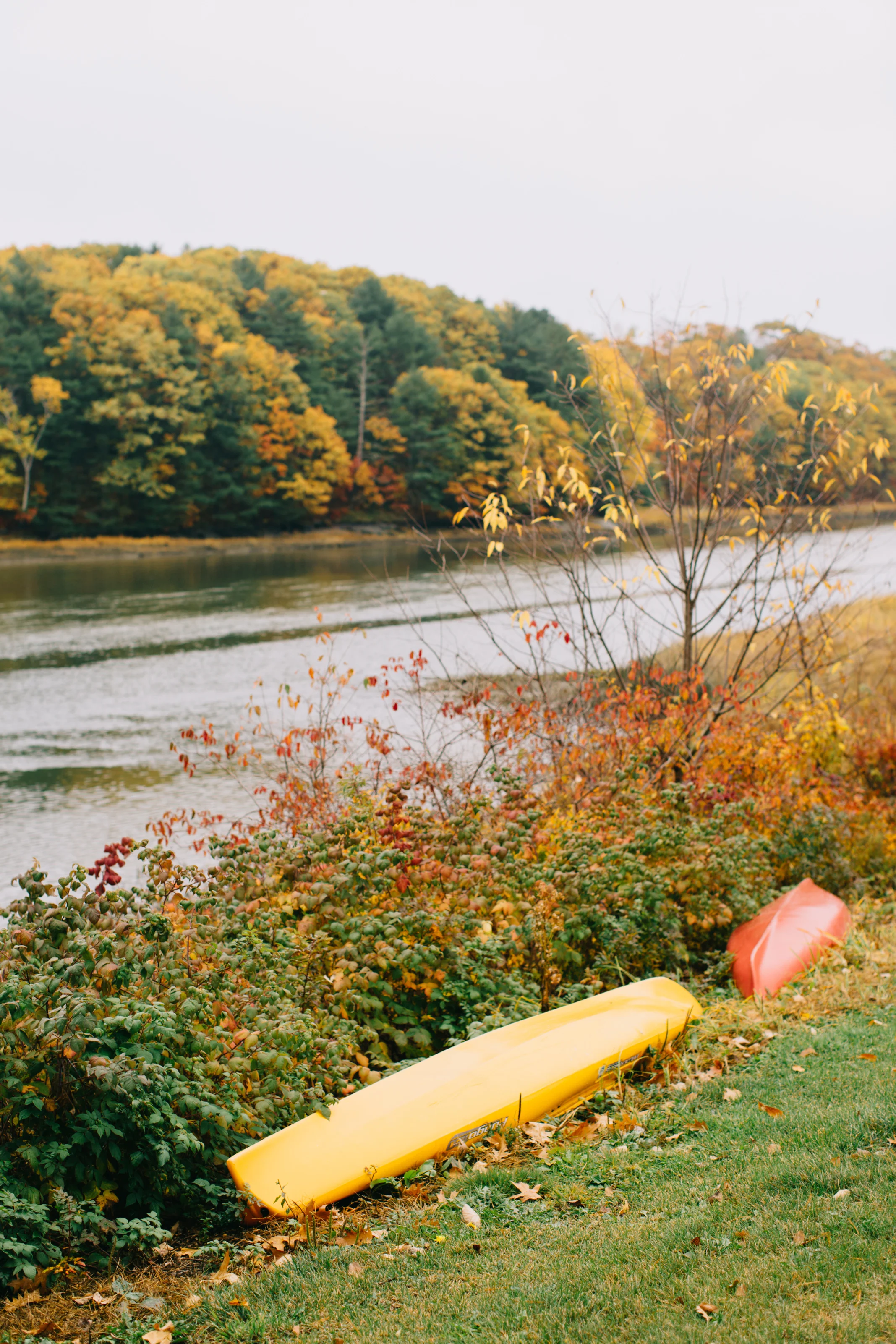CindyGiovagnoli_Wiscasset_Maine_farm_vanlife_fall_autumn-034.jpg