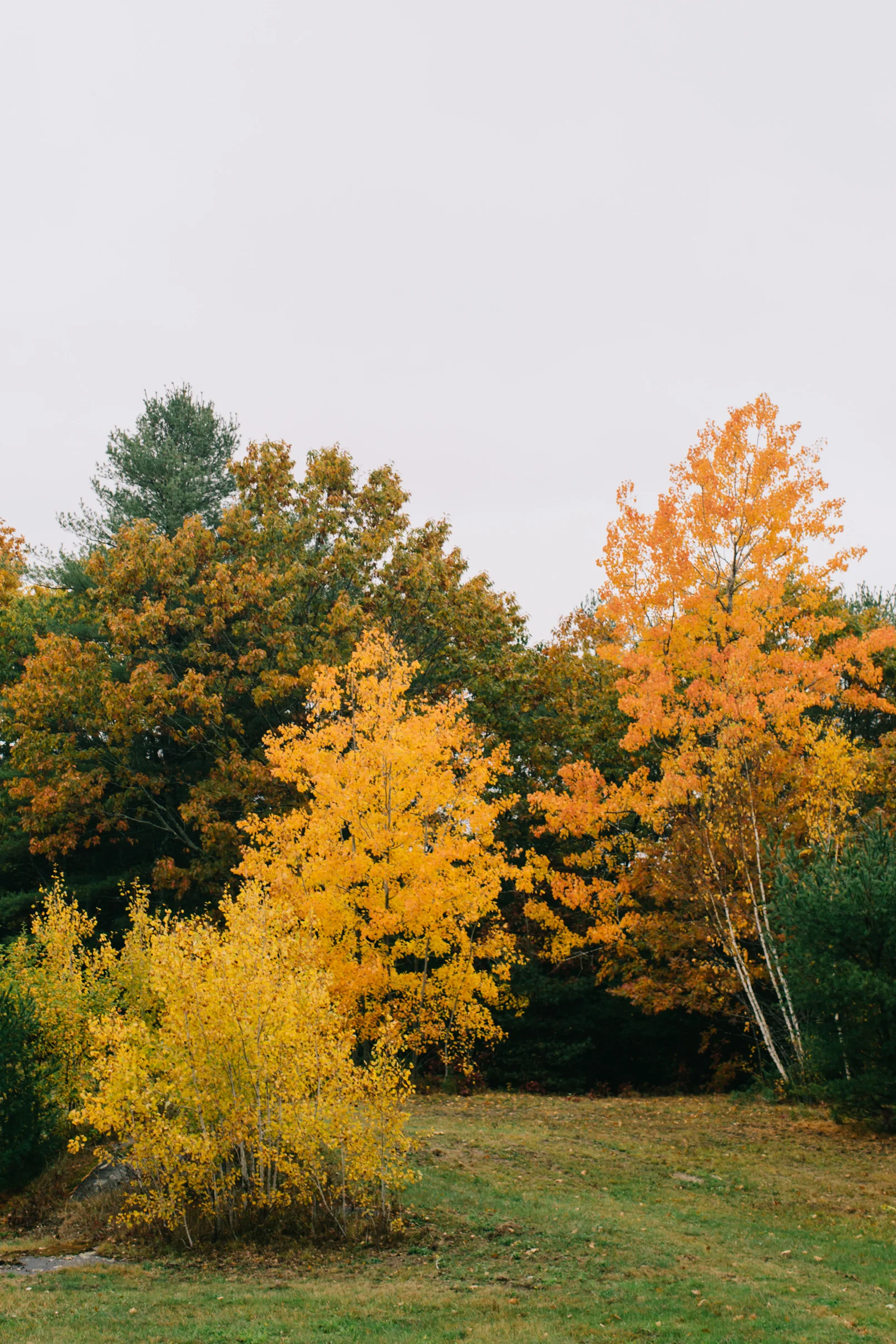 CindyGiovagnoli_Wiscasset_Maine_farm_vanlife_fall_autumn-048.jpg