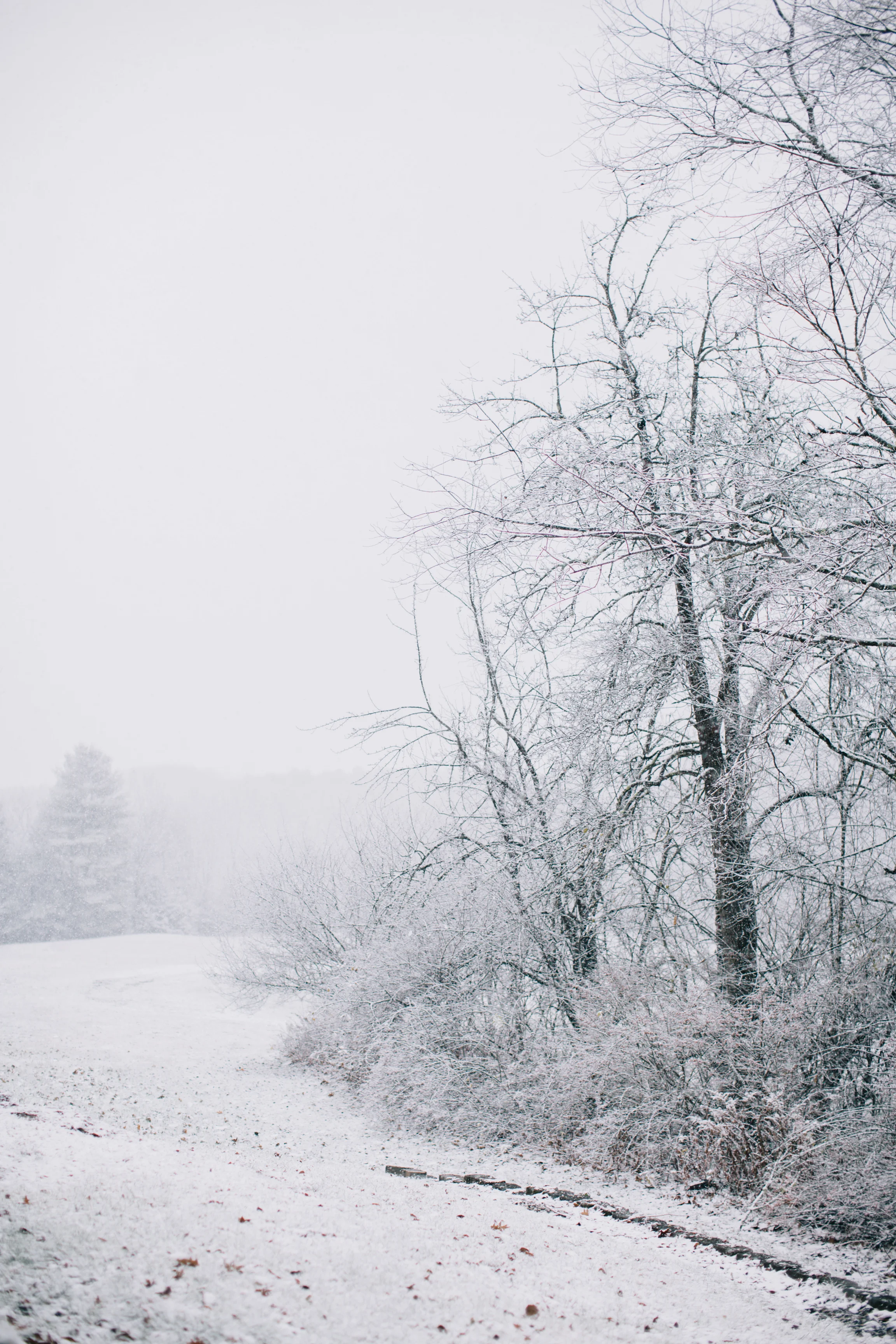 CindyGiovagnoli_Maine_Snow_home-008.jpg
