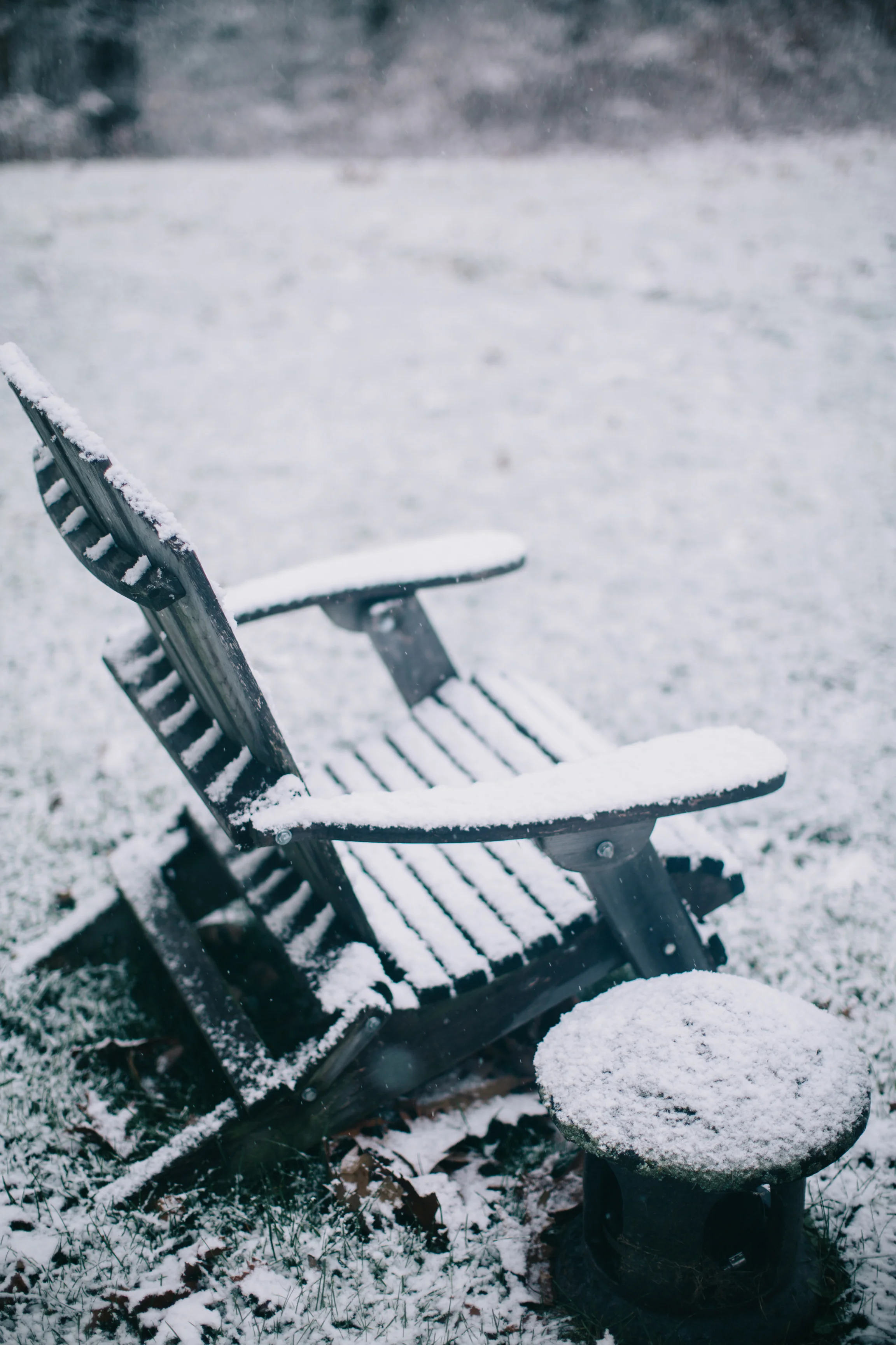 CindyGiovagnoli_Maine_Snow_home-009.jpg