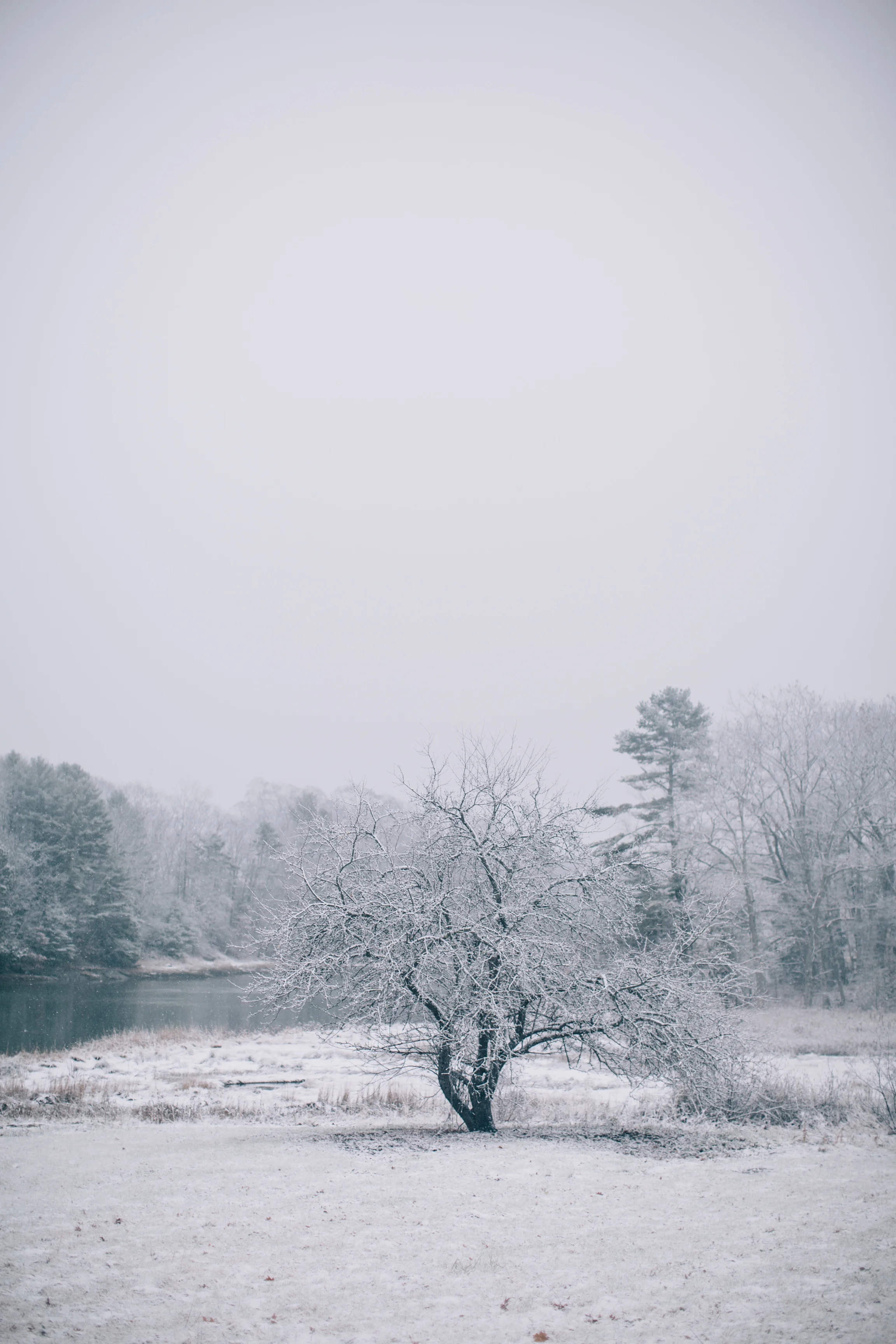 CindyGiovagnoli_Maine_Snow_home-023.jpg