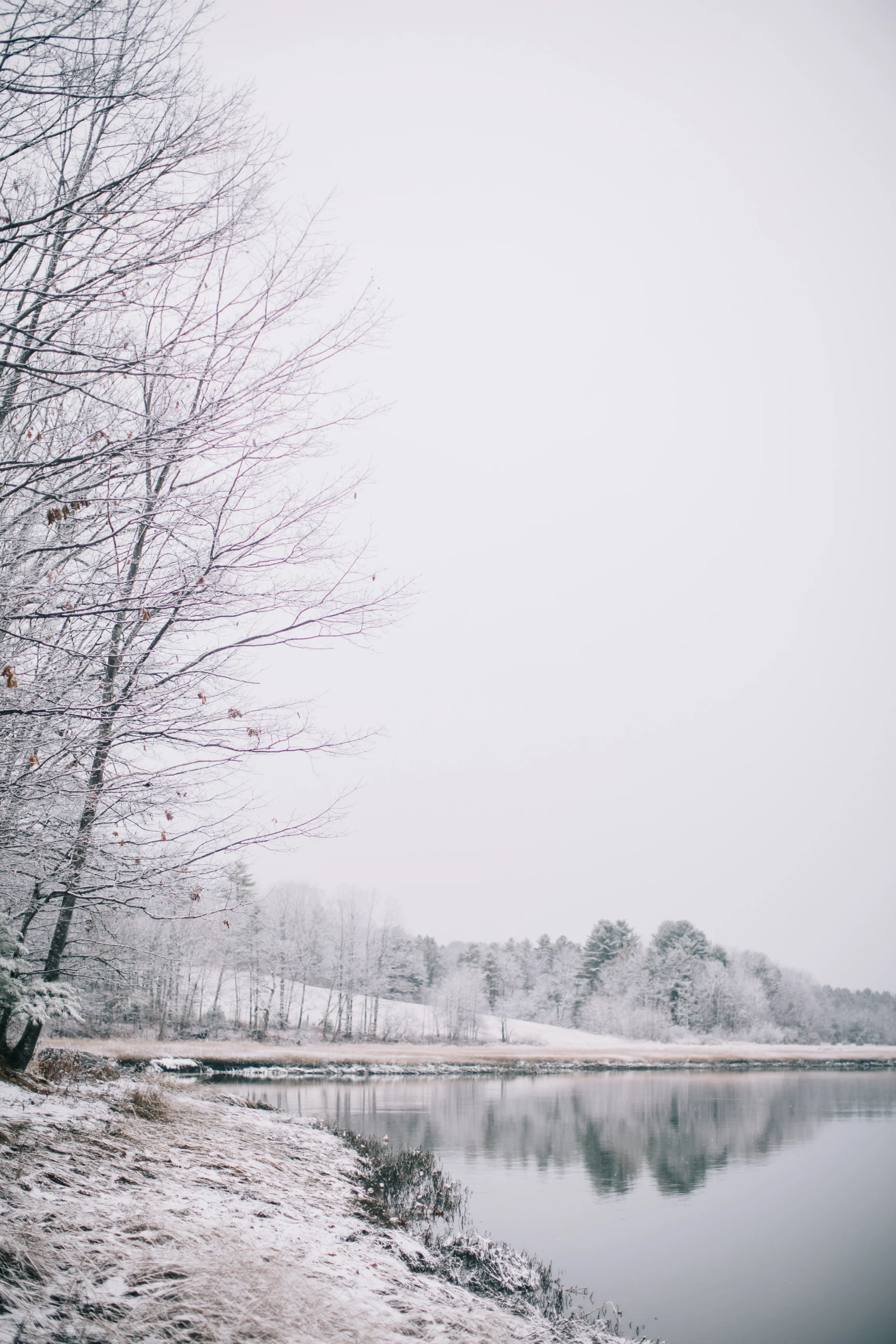 CindyGiovagnoli_Maine_Snow_home-024.jpg