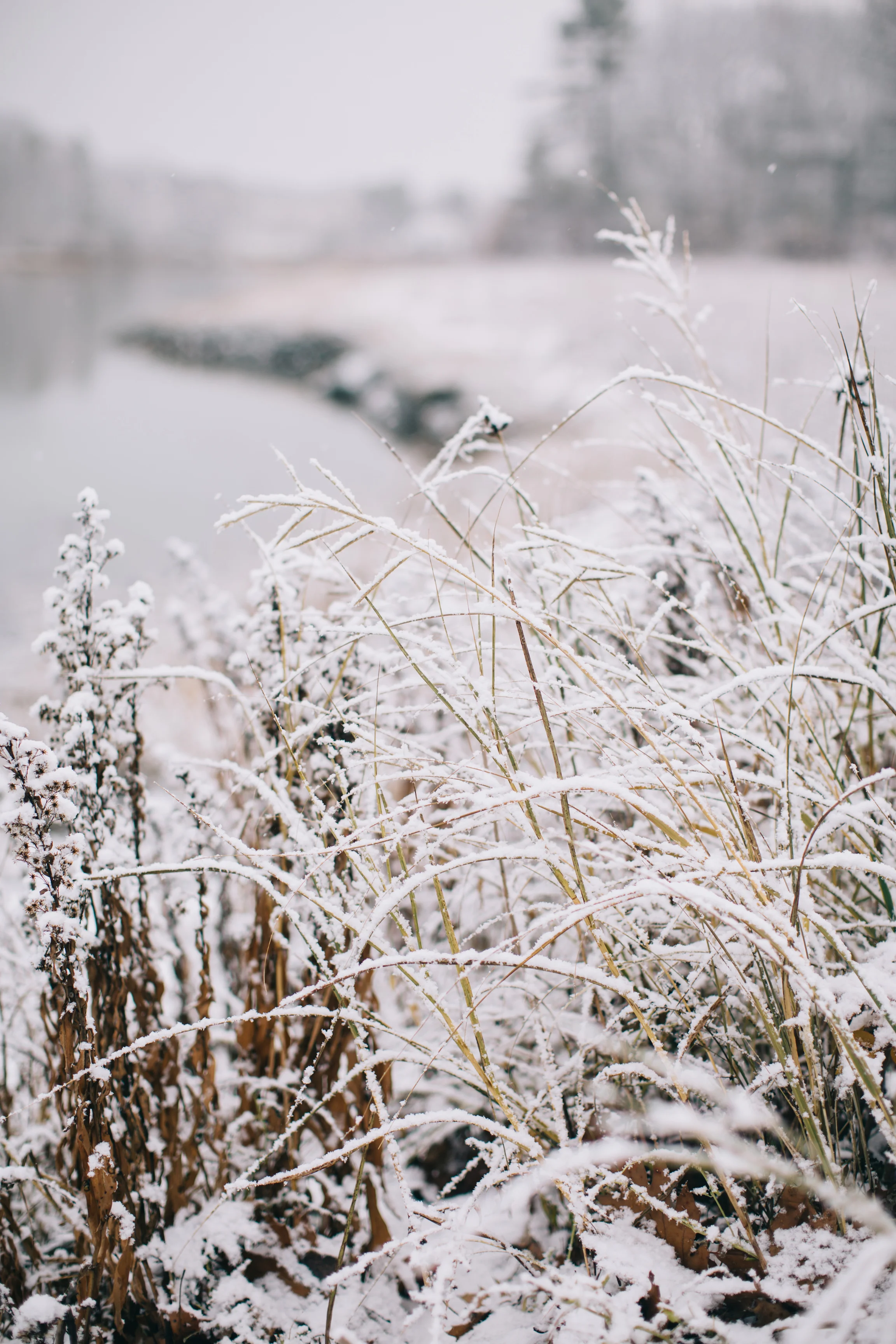 CindyGiovagnoli_Maine_Snow_home-030.jpg