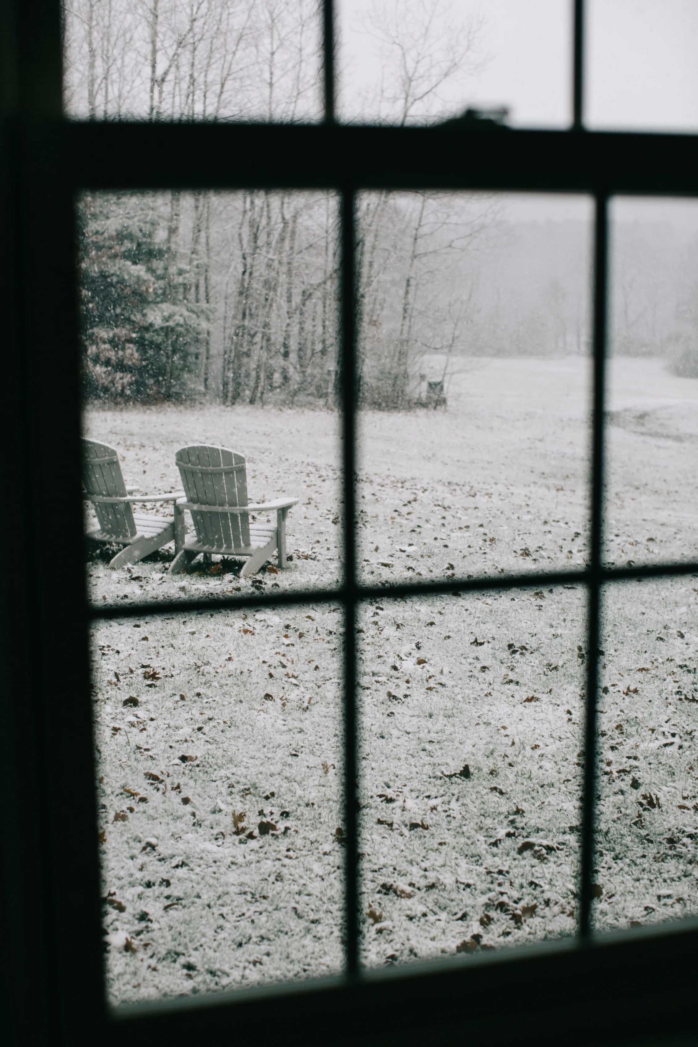 CindyGiovagnoli_Maine_Snow_home-037.jpg