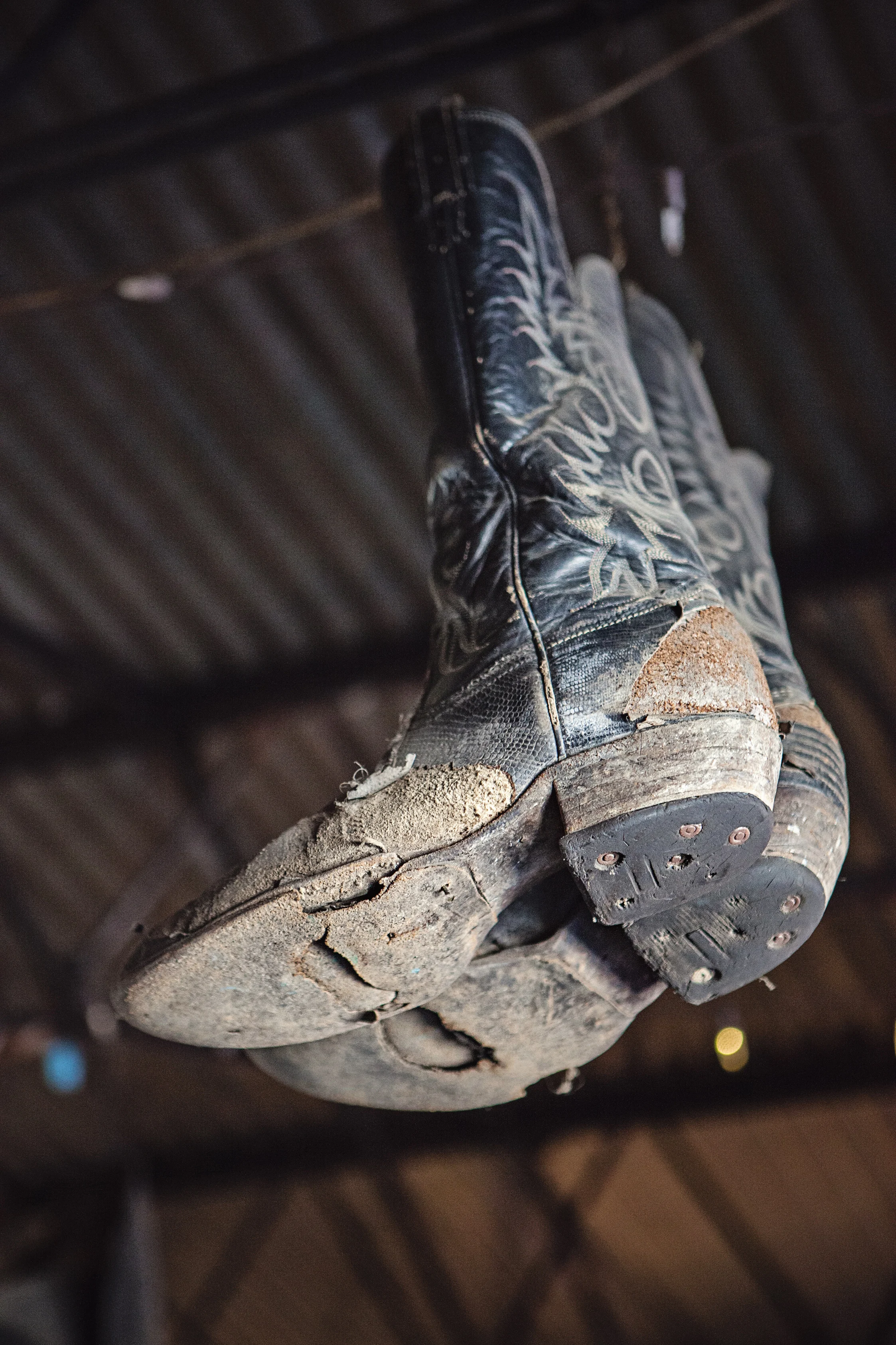 CindyGiovagnoli_Texas_FloresCountryStore_SanAntonio_Austin-001.jpg