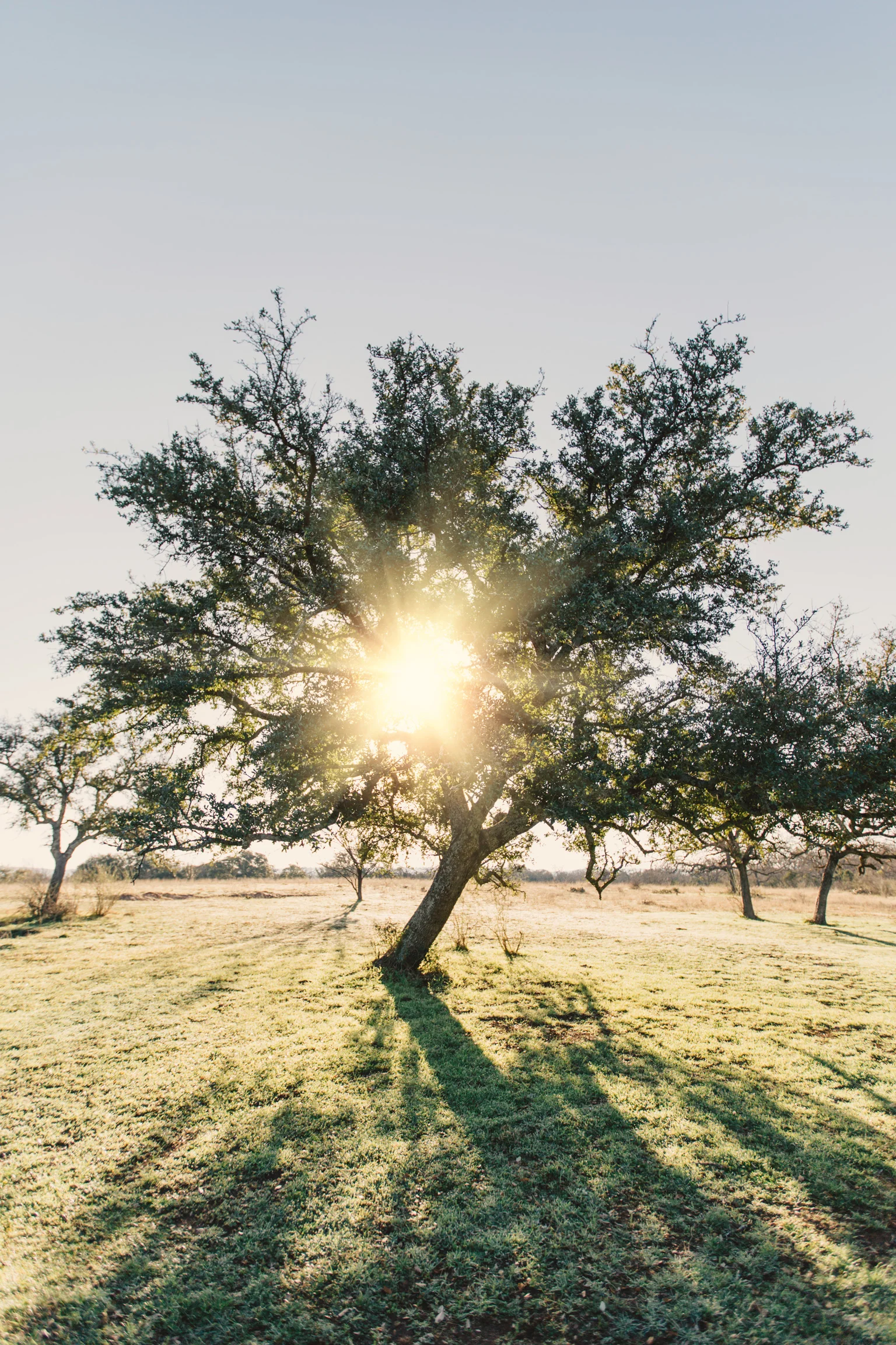 CindyGiovagnoli_EnchantedRock_OxfordRanch_Texas_Camp_Hike-028.jpg
