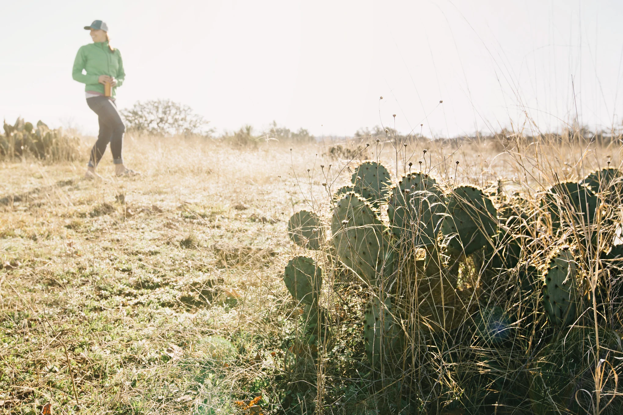 CindyGiovagnoli_Fredricksburg_Texas_HillCountry_EnchantedRock_StateParks_tourism.jpg