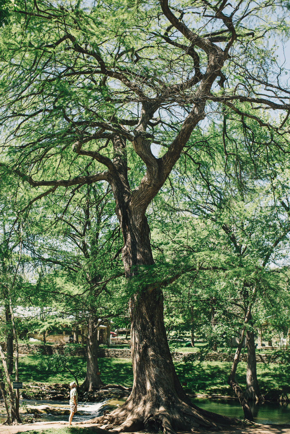 CindyGiovagnoli_Texas_Wimberly_Gruene_Cypress_Creek_HillCountry_outdoors-001.jpg