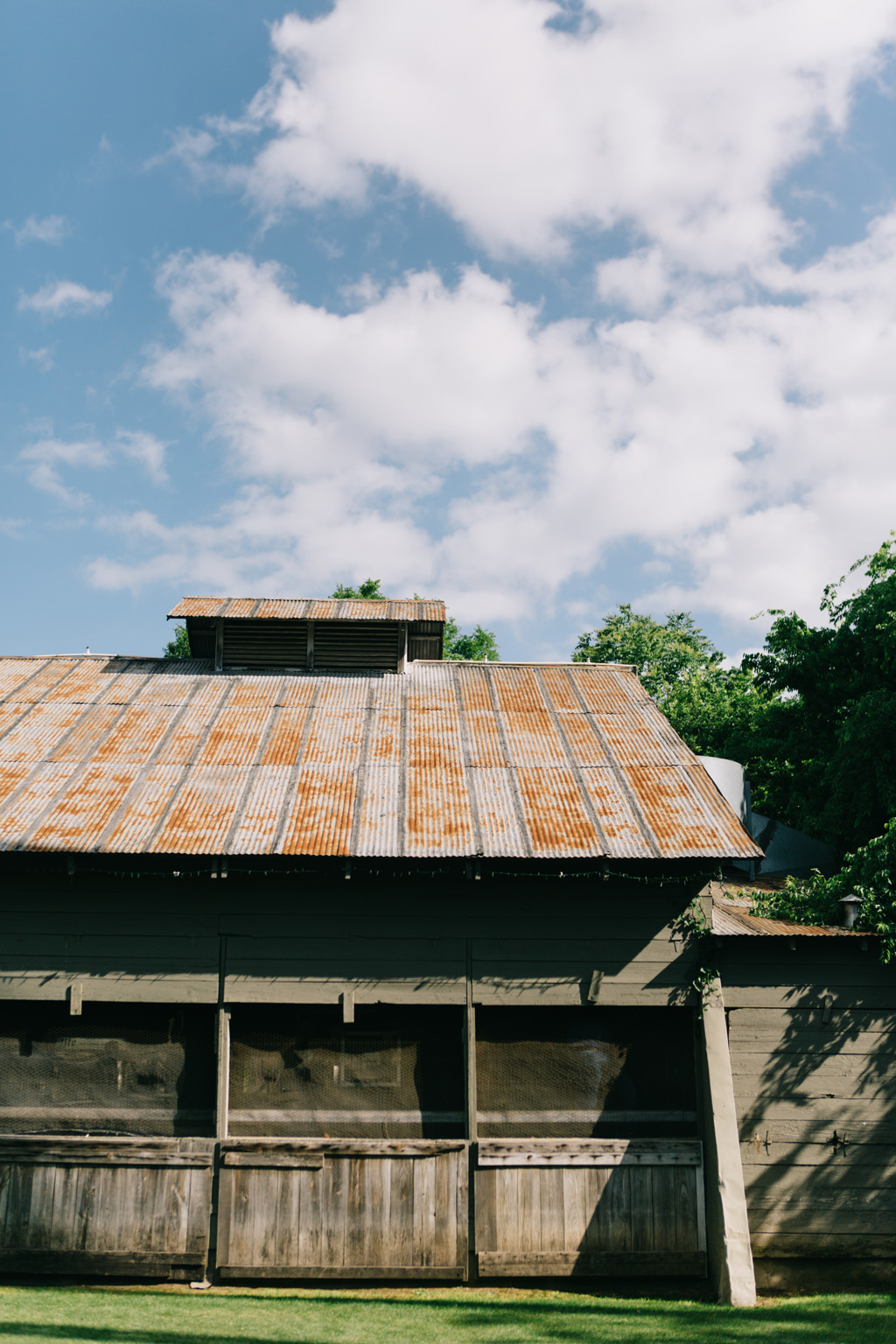 CindyGiovagnoli_Texas_Wimberly_Gruene_Cypress_Creek_HillCountry_outdoors-007.jpg