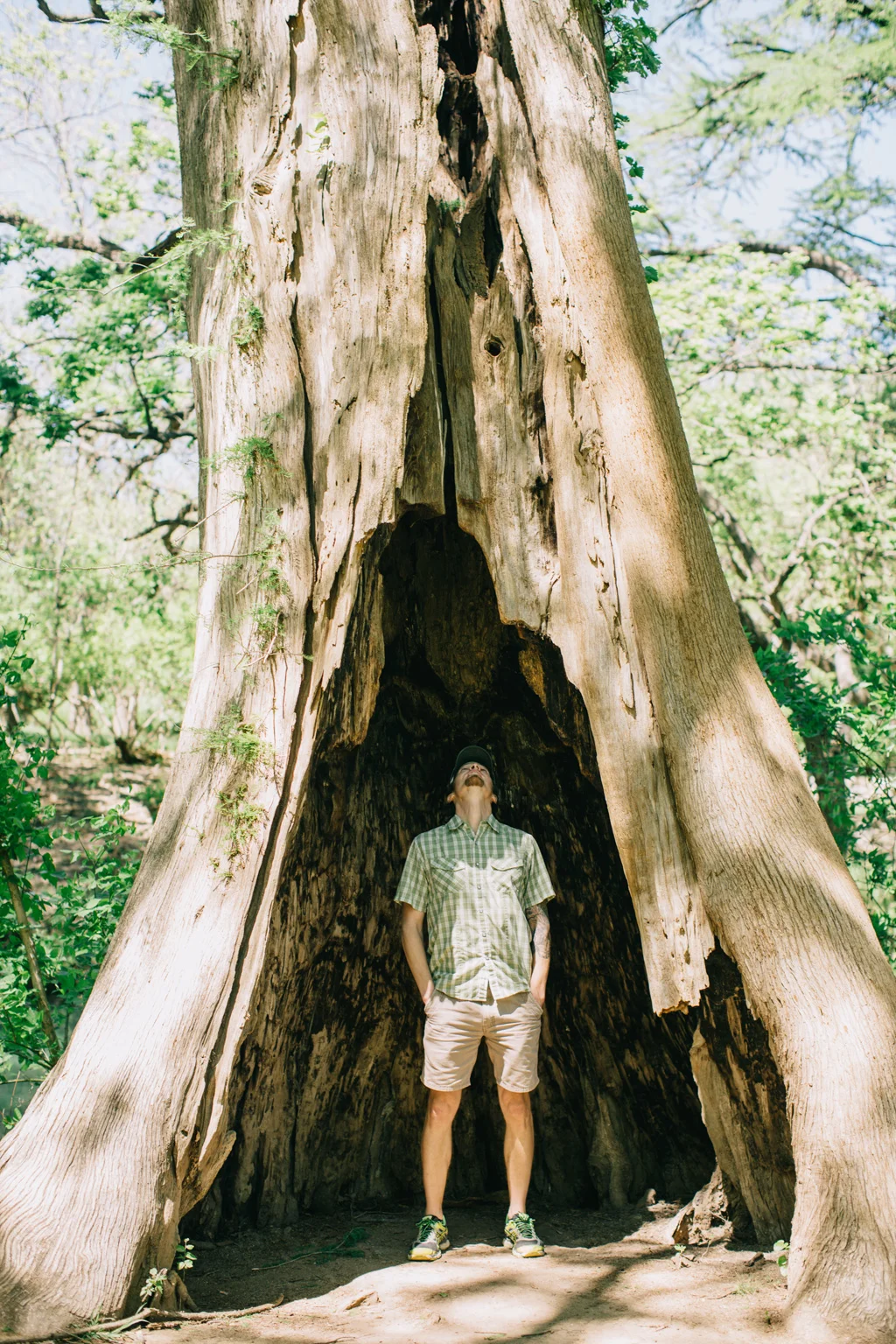 CindyGiovagnoli_Texas_Wimberly_Gruene_Cypress_Creek_HillCountry_outdoors-008.jpg