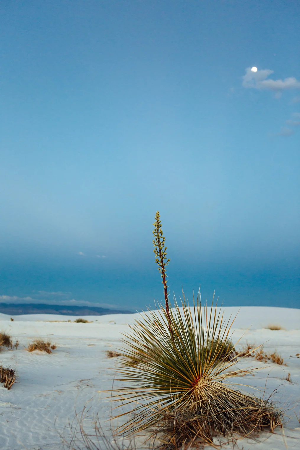CindyGiovagnoli_WhiteSandsNationalMonument_NewMexico_Alamogordo_sunset_running_picnic_shelter-024.jpg