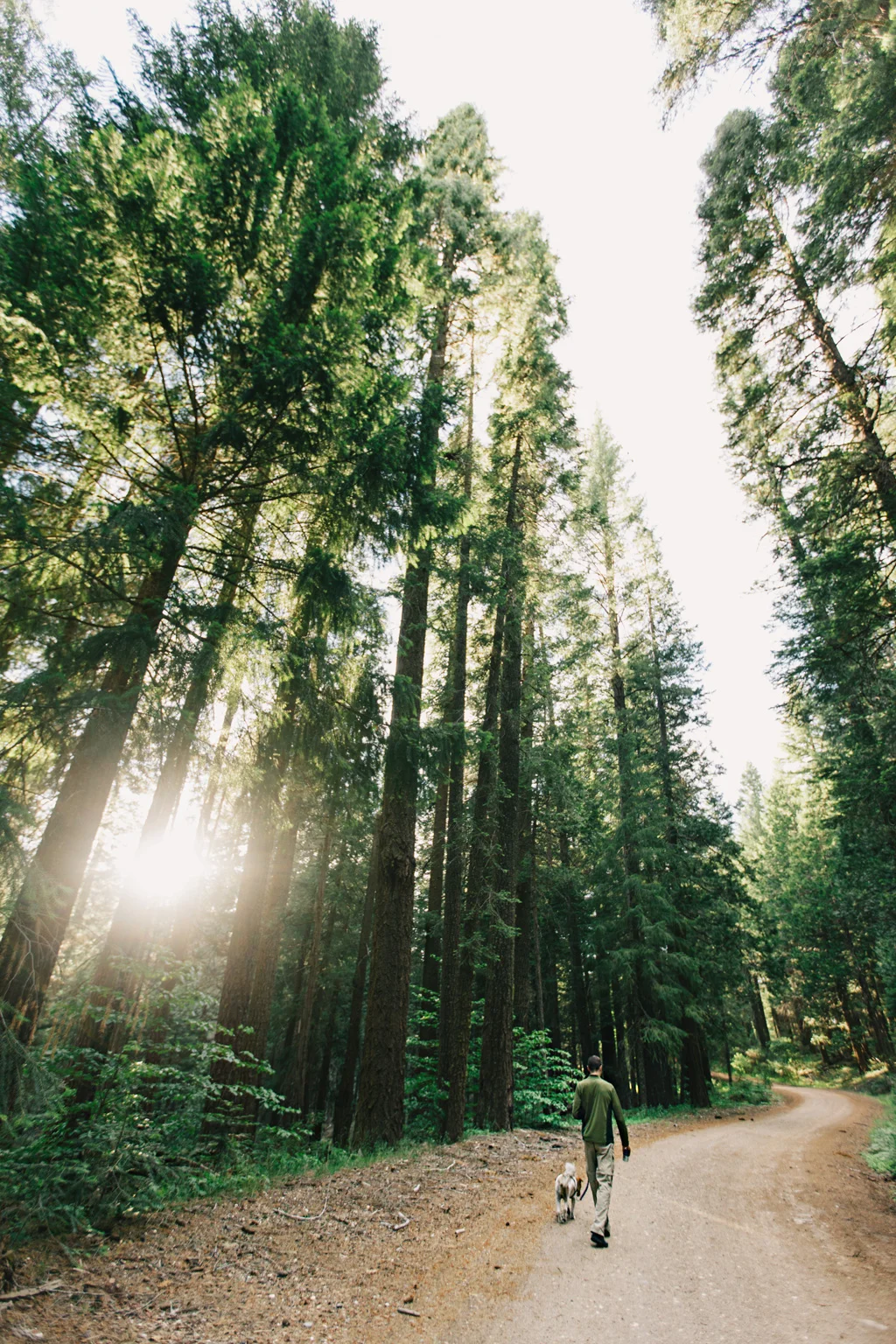 CindyGiovagnoli_PlumasNationalForest_Quincy_California_RockCreekCampground-006.jpg