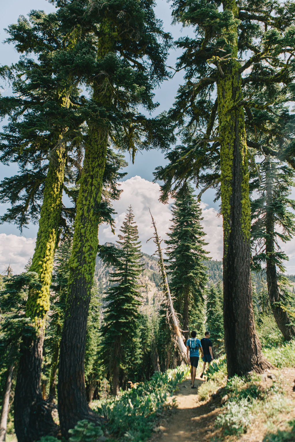 CindyGiovagnoli_outdoors_photographer_Sierra_Buttes_firetower_watchtower_Sardine_Snag_Bear_lake_hike_swim_camp-004.jpg