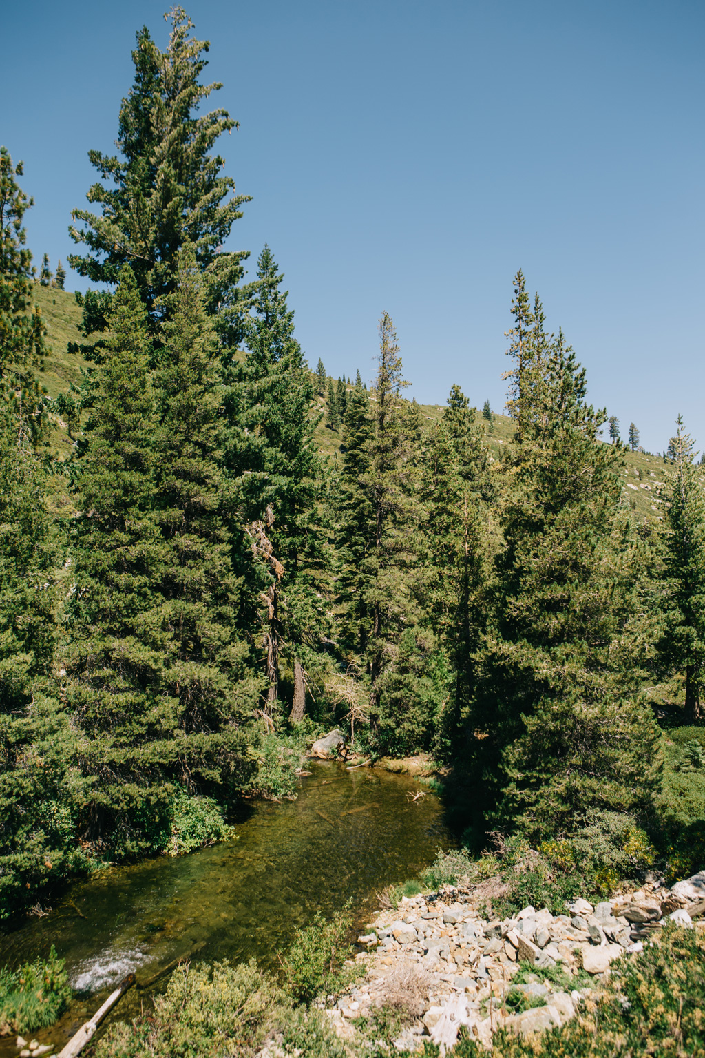 CindyGiovagnoli_outdoors_photographer_Sierra_Buttes_firetower_watchtower_Sardine_Snag_Bear_lake_hike_swim_camp-055.jpg