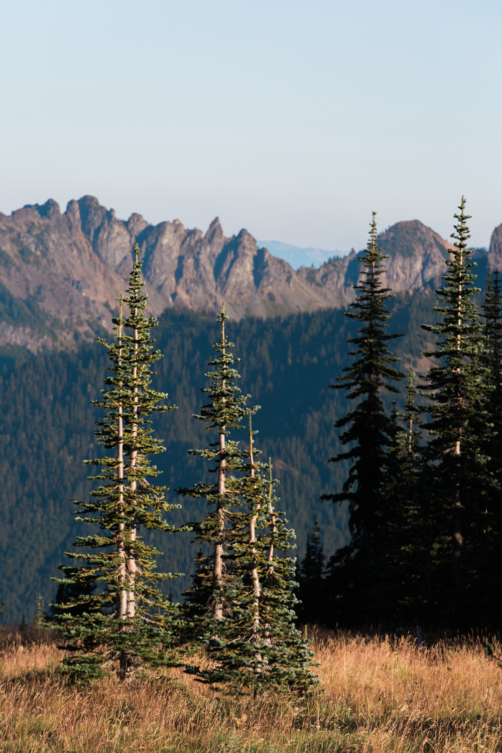 CindyGiovagnoli_Redwoods_CraterLake_MountRainier_PNW_National_Park_trees_camp_road_trip-009.jpg