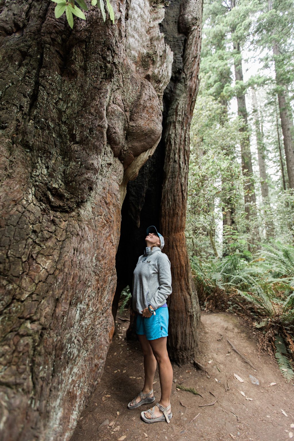 CindyGiovagnoli_Redwoods_CraterLake_MountRainier_PNW_National_Park_trees_camp_road_trip-014.jpg
