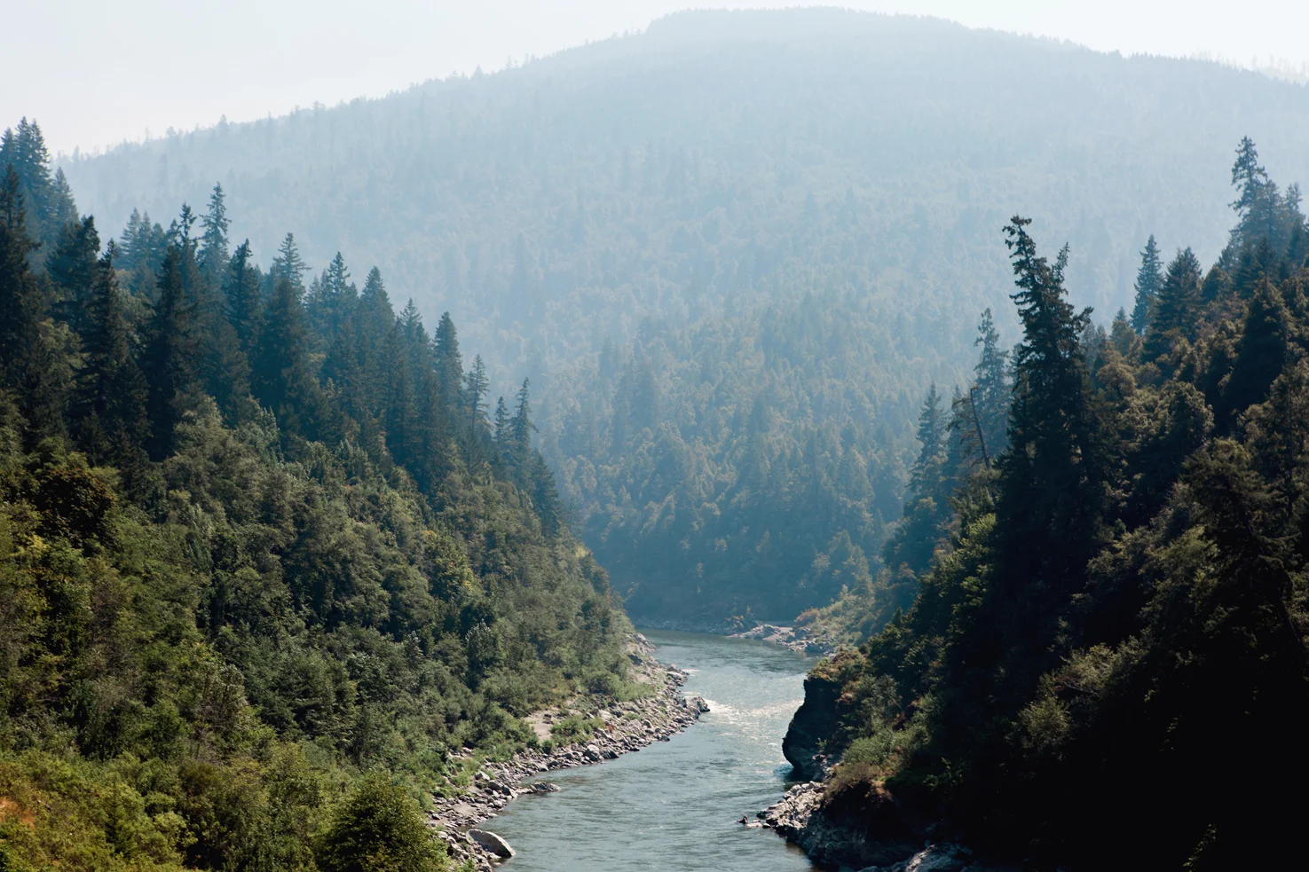 CindyGiovagnoli_Redwoods_CraterLake_MountRainier_PNW_National_Park_trees_camp_road_trip-017.jpg