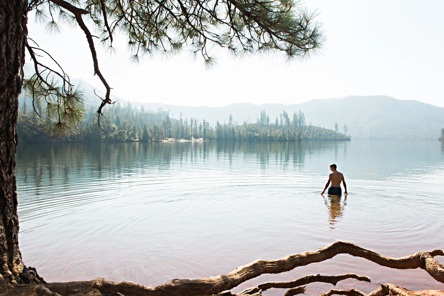 CindyGiovagnoli_Redwoods_National_Park_Whiskeytown_Reservoir_Pacific_Ocean_elk-002.jpg