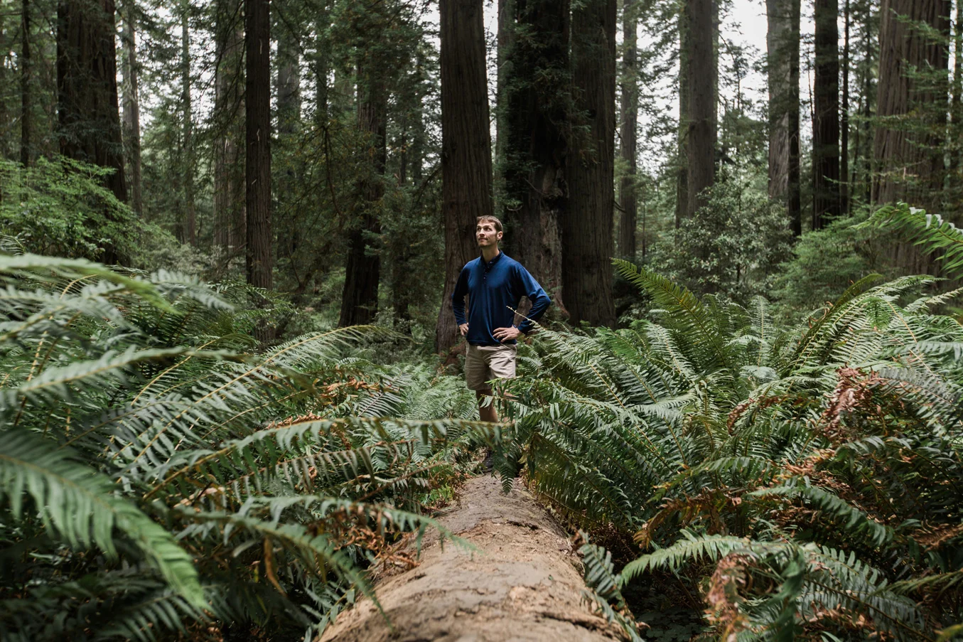 CindyGiovagnoli_Redwoods_National_Park_Whiskeytown_Reservoir_Pacific_Ocean_elk-032.jpg