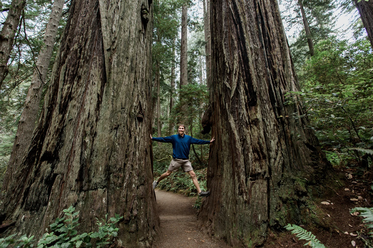 CindyGiovagnoli_Redwoods_National_Park_Whiskeytown_Reservoir_Pacific_Ocean_elk-034.jpg