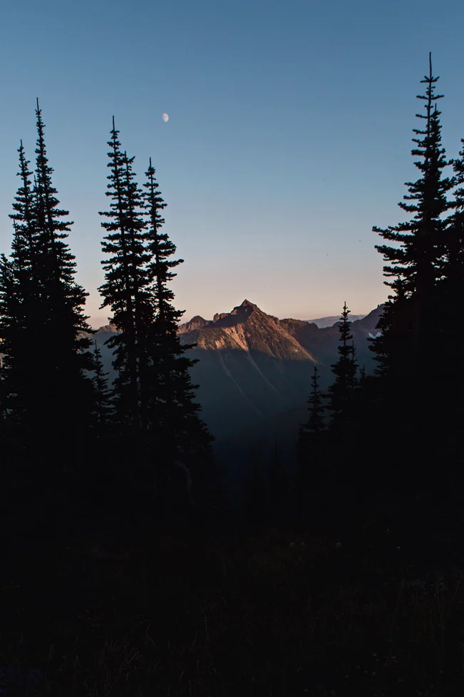 CindyGiovagnoli_Mount_Rainier_National_Park_Washington-010.jpg