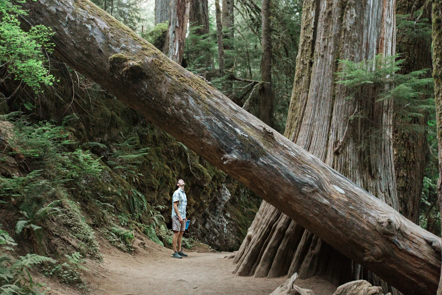 CindyGiovagnoli_Mount_Rainier_National_Park_Washington-017.jpg