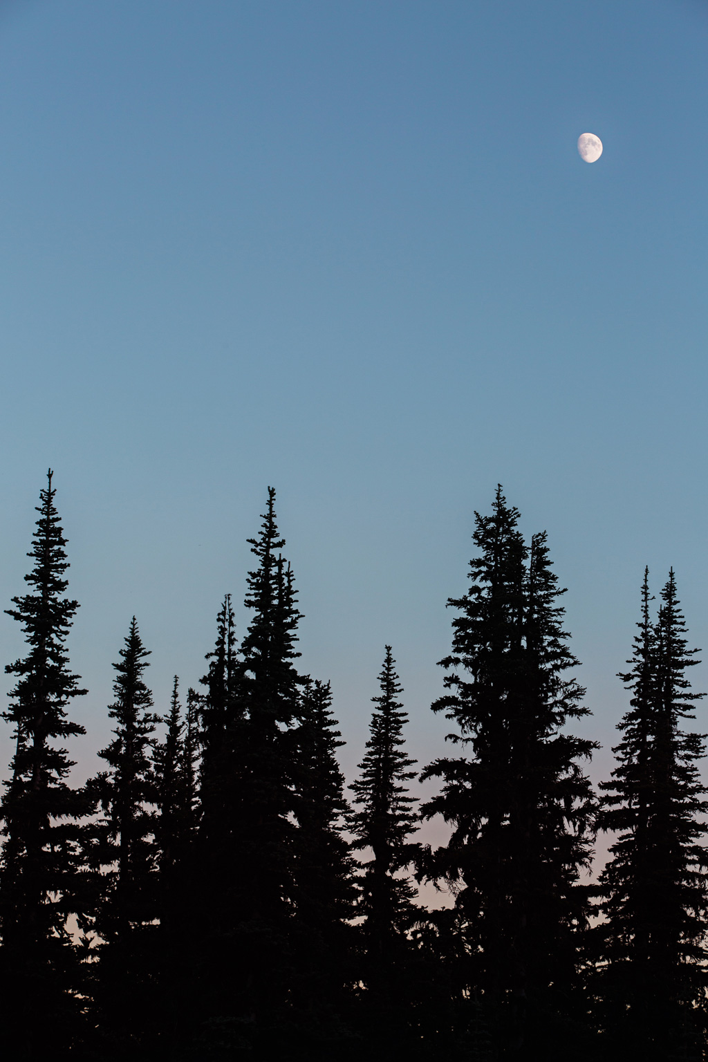 CindyGiovagnoli_Mount_Rainier_National_Park_Washington-020.jpg