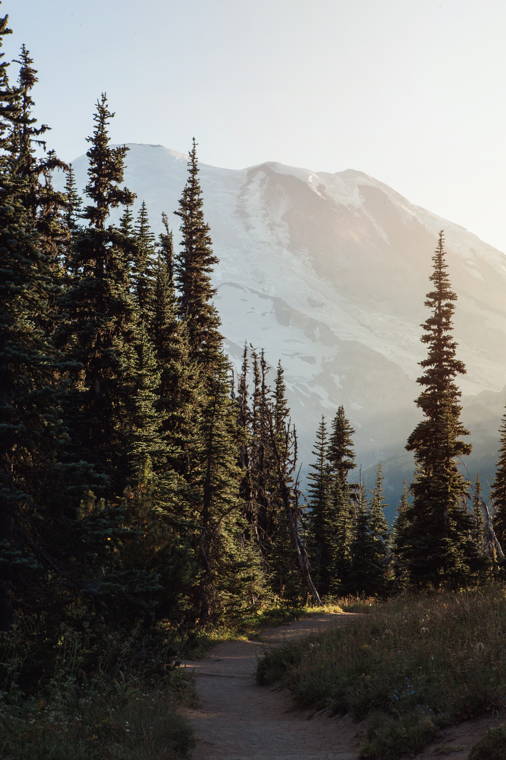 CindyGiovagnoli_Mount_Rainier_National_Park_Washington-019.jpg