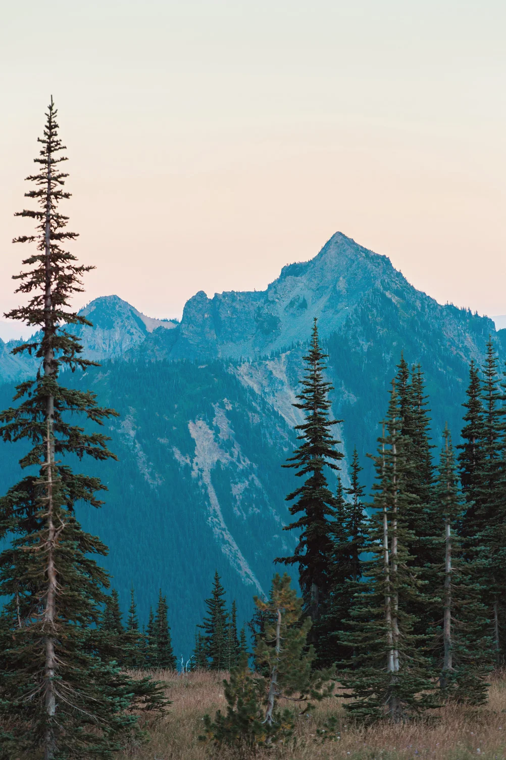 CindyGiovagnoli_Mount_Rainier_National_Park_Washington-024.jpg