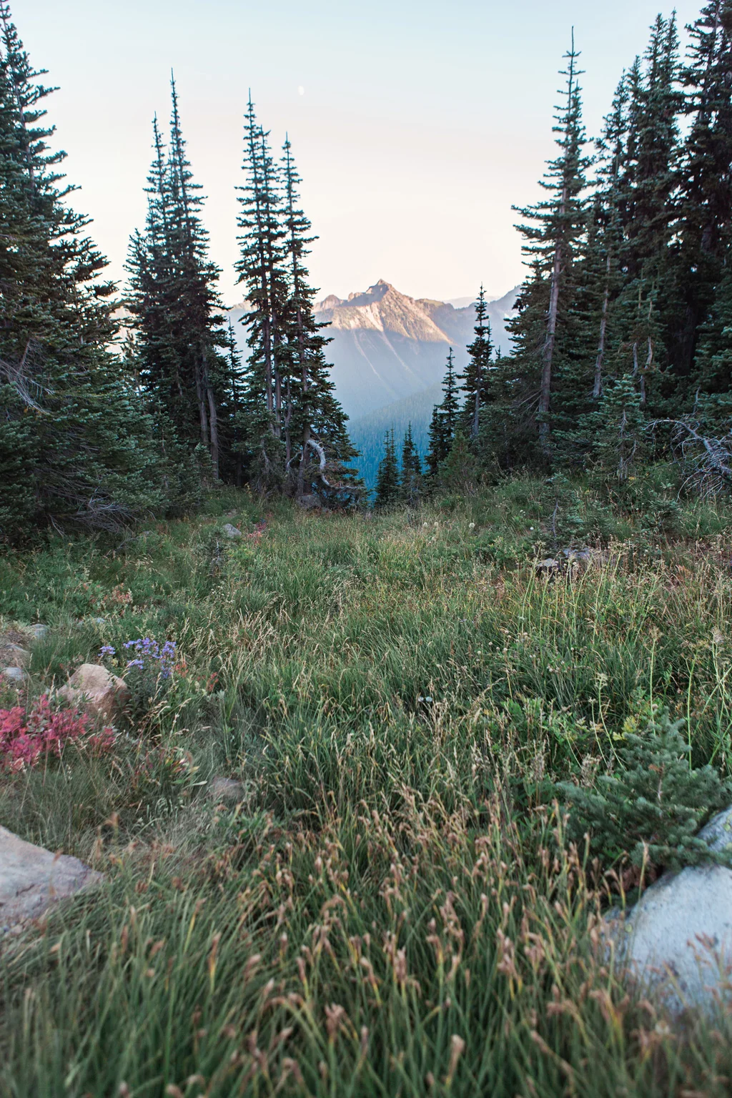 CindyGiovagnoli_Mount_Rainier_National_Park_Washington-023.jpg