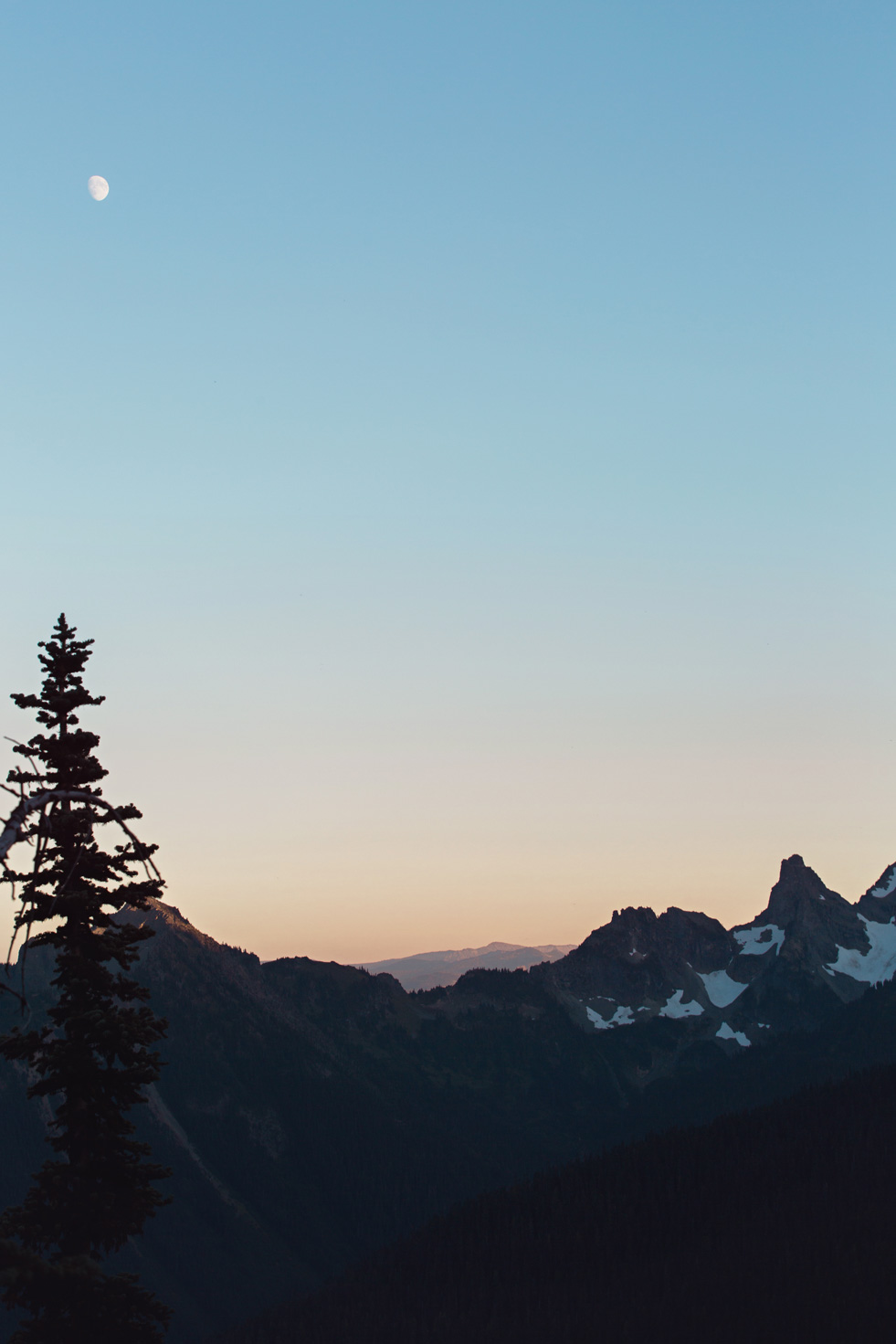 CindyGiovagnoli_Mount_Rainier_National_Park_Washington-030.jpg