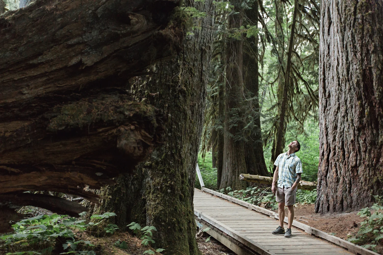 CindyGiovagnoli_Mount_Rainier_National_Park_Washington-032.jpg
