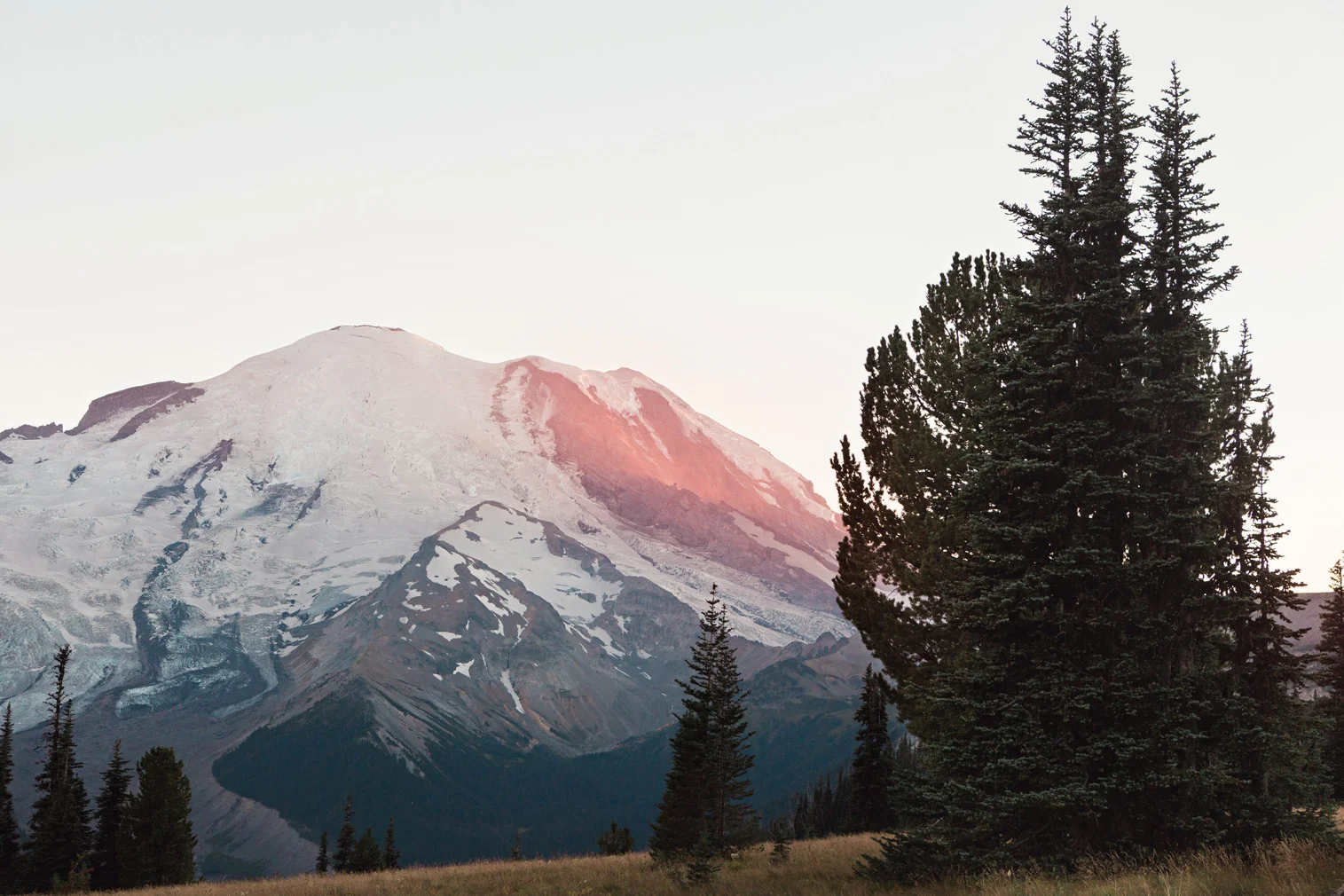 CindyGiovagnoli_Mount_Rainier_National_Park_Washington-036.jpg