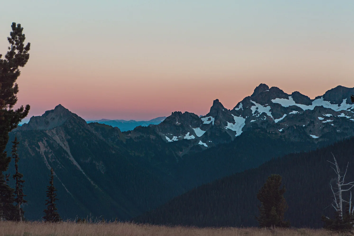 CindyGiovagnoli_Mount_Rainier_National_Park_Washington-038.jpg