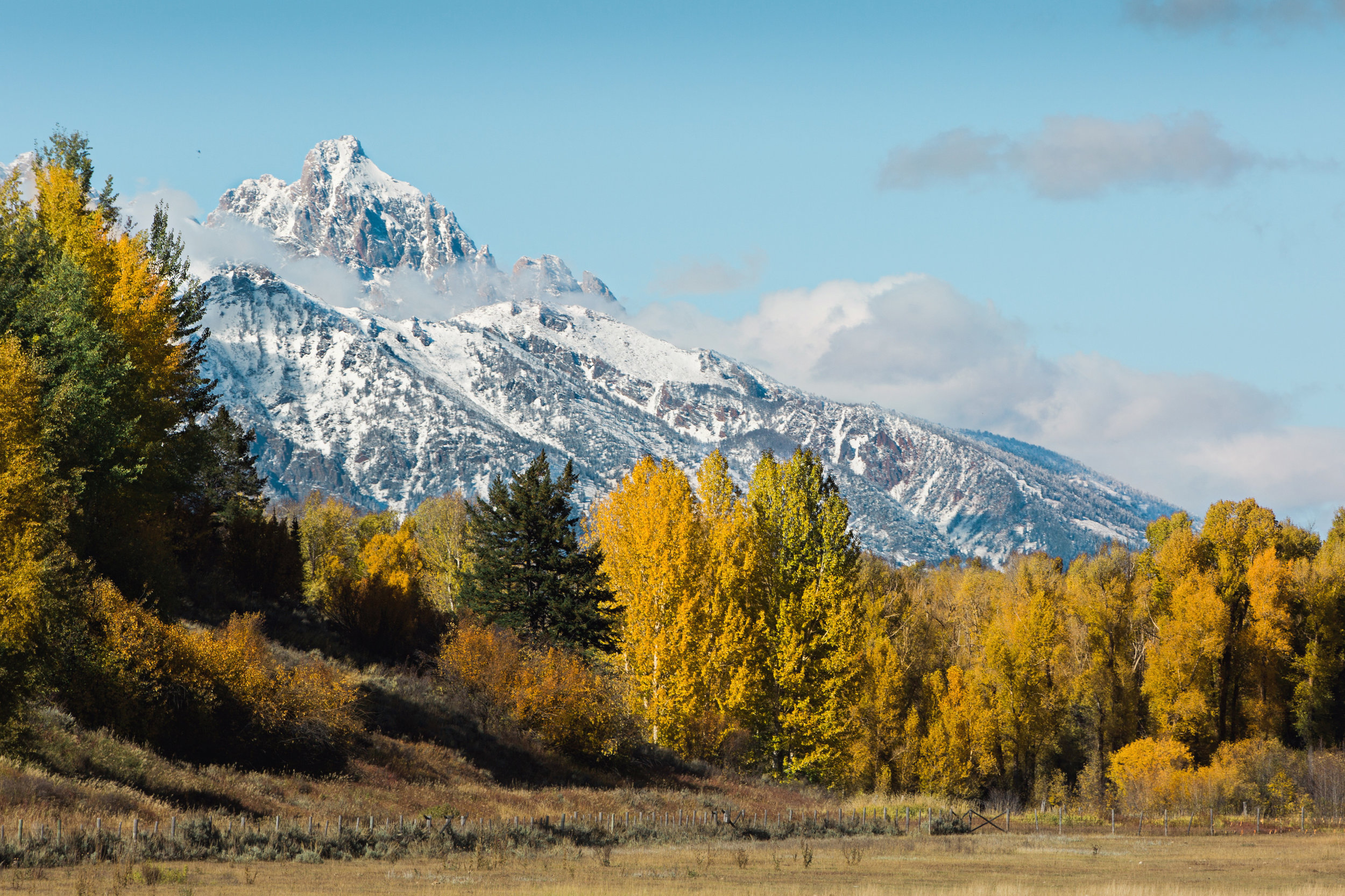 Cindy_Giovagnoli_Idaho_Wyoming_Grand_Teton_National_Park_autumn_aspens_camping_mountains-022.jpg