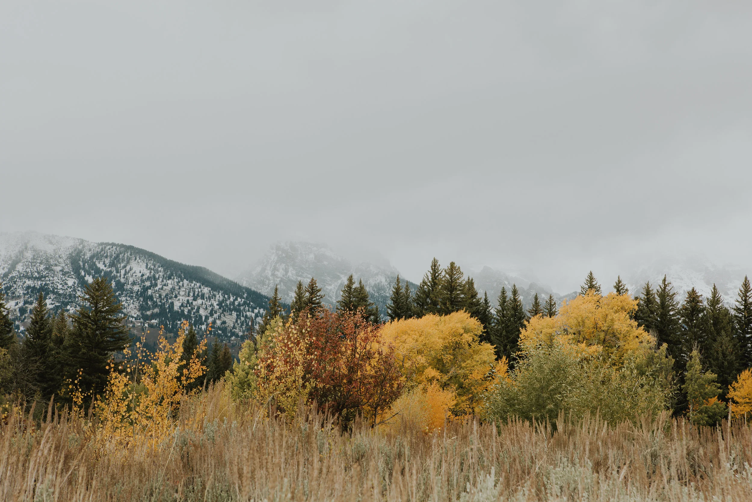 CindyGiovagnoli_Grand_Teton_National_Park_mountains_Bison_Autumn_Wyoming_Mormon_Row_aspens_fall_outdoor_photographer-004.jpg