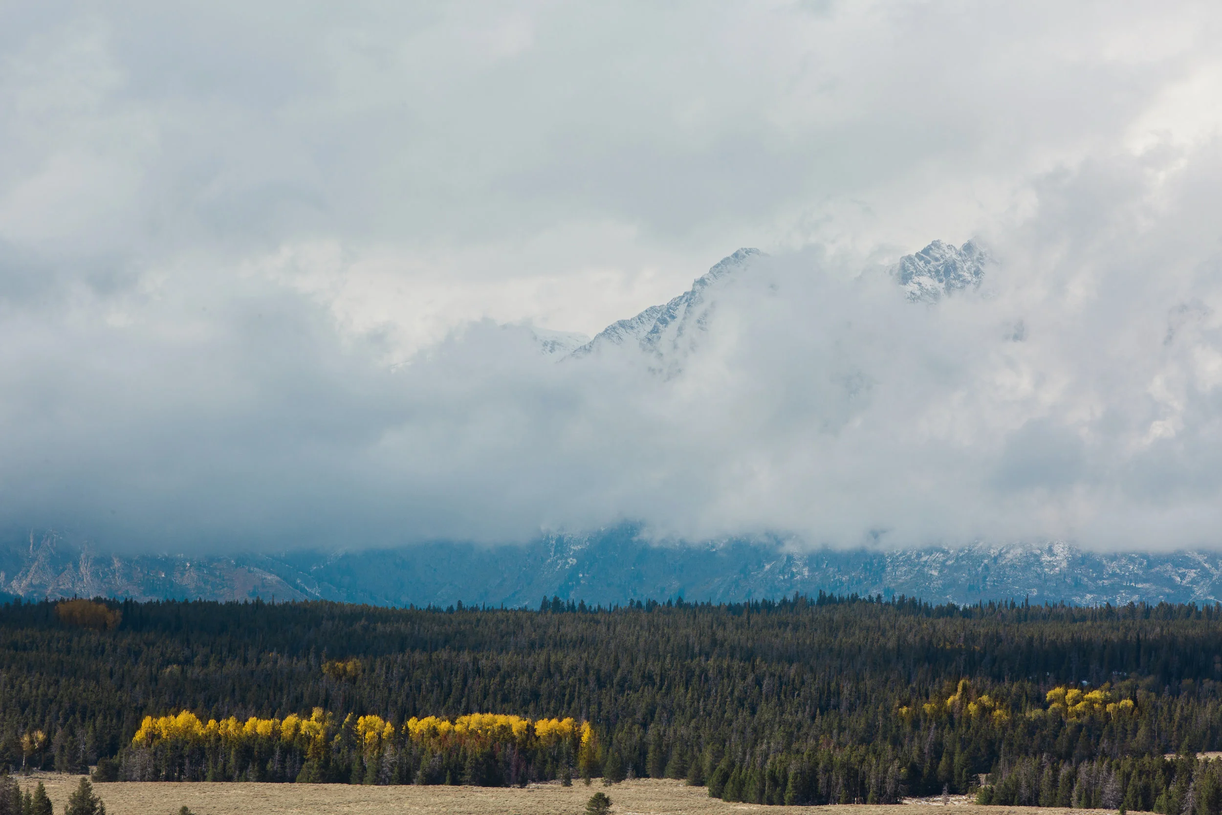CindyGiovagnoli_Grand_Teton_National_Park_mountains_Bison_Autumn_Wyoming_Mormon_Row_aspens_fall_outdoor_photographer-016.jpg