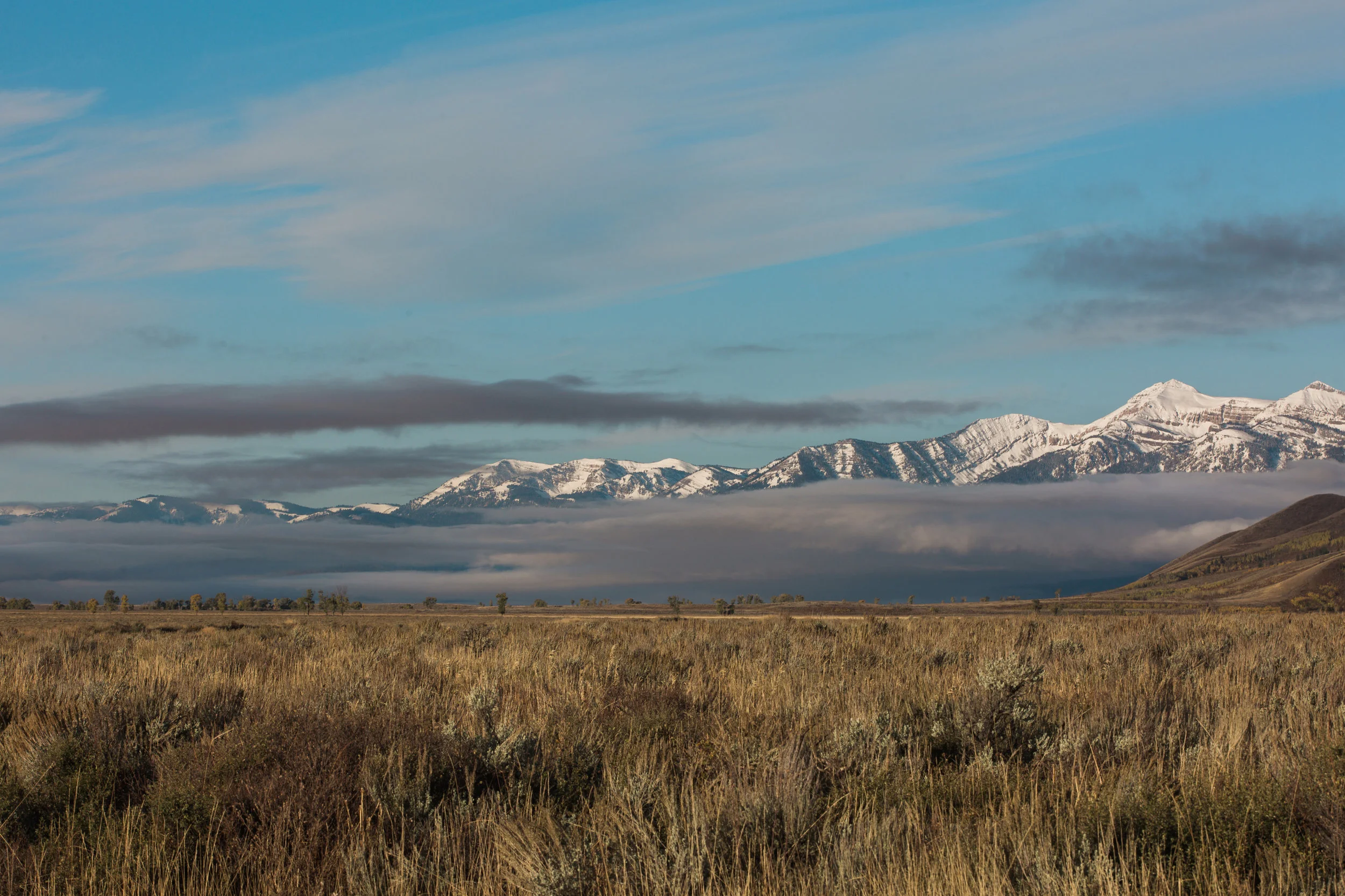 CindyGiovagnoli_Grand_Teton_National_Park_mountains_Bison_Autumn_Wyoming_Mormon_Row_aspens_fall_outdoor_photographer-039.jpg