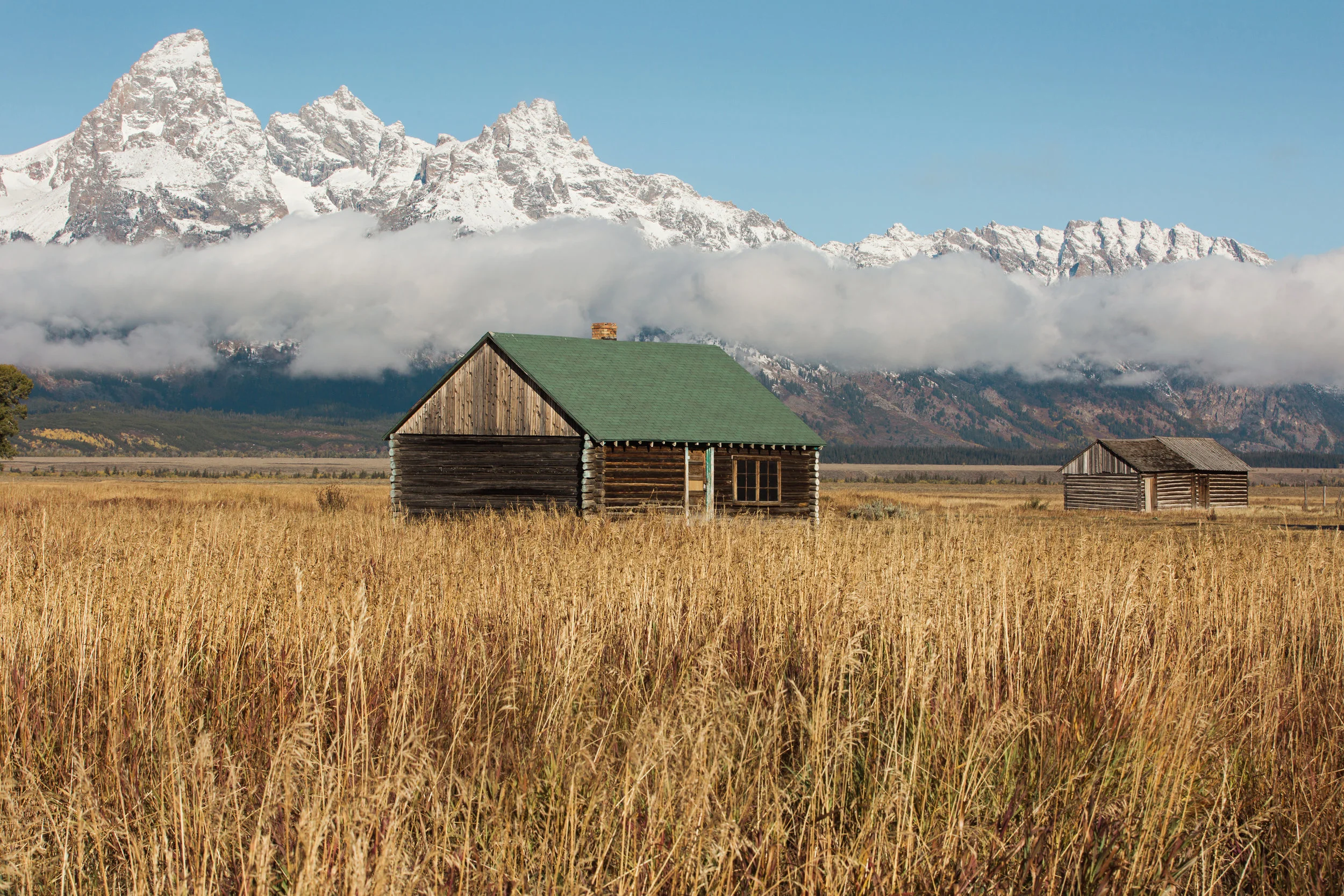 CindyGiovagnoli_Grand_Teton_National_Park_mountains_Bison_Autumn_Wyoming_Mormon_Row_aspens_fall_outdoor_photographer-038.jpg