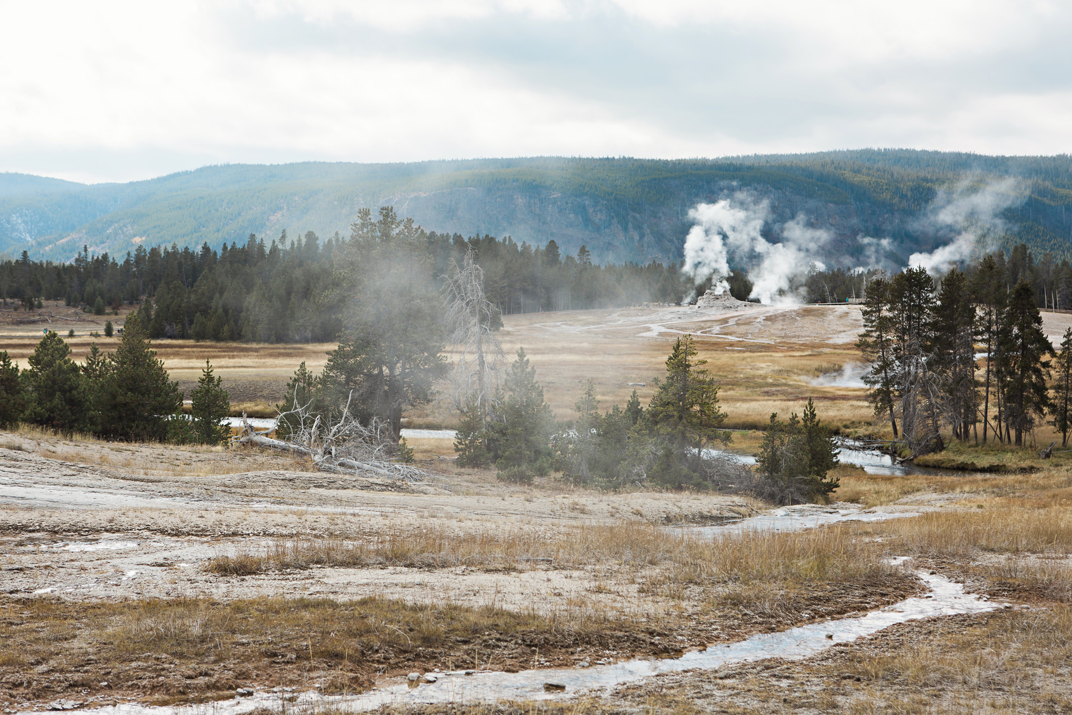 CindyGiovagnoli_road_trip_Yellowstone_National_Park_Montana_Wyoming_hot_springs_geyser_Old_Faithful_Grand_Prismatic-005.jpg