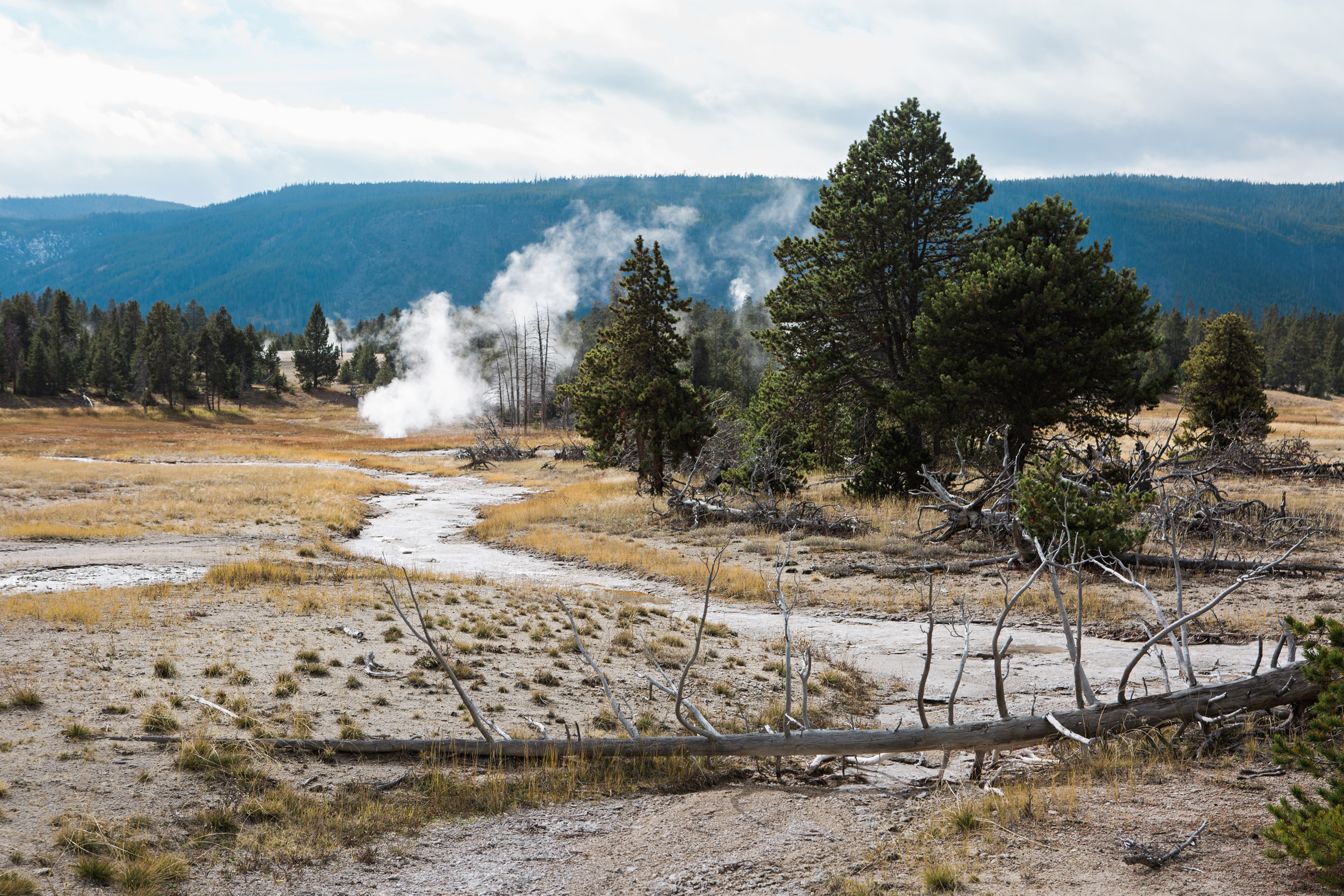 CindyGiovagnoli_road_trip_Yellowstone_National_Park_Montana_Wyoming_hot_springs_geyser_Old_Faithful_Grand_Prismatic-008.jpg