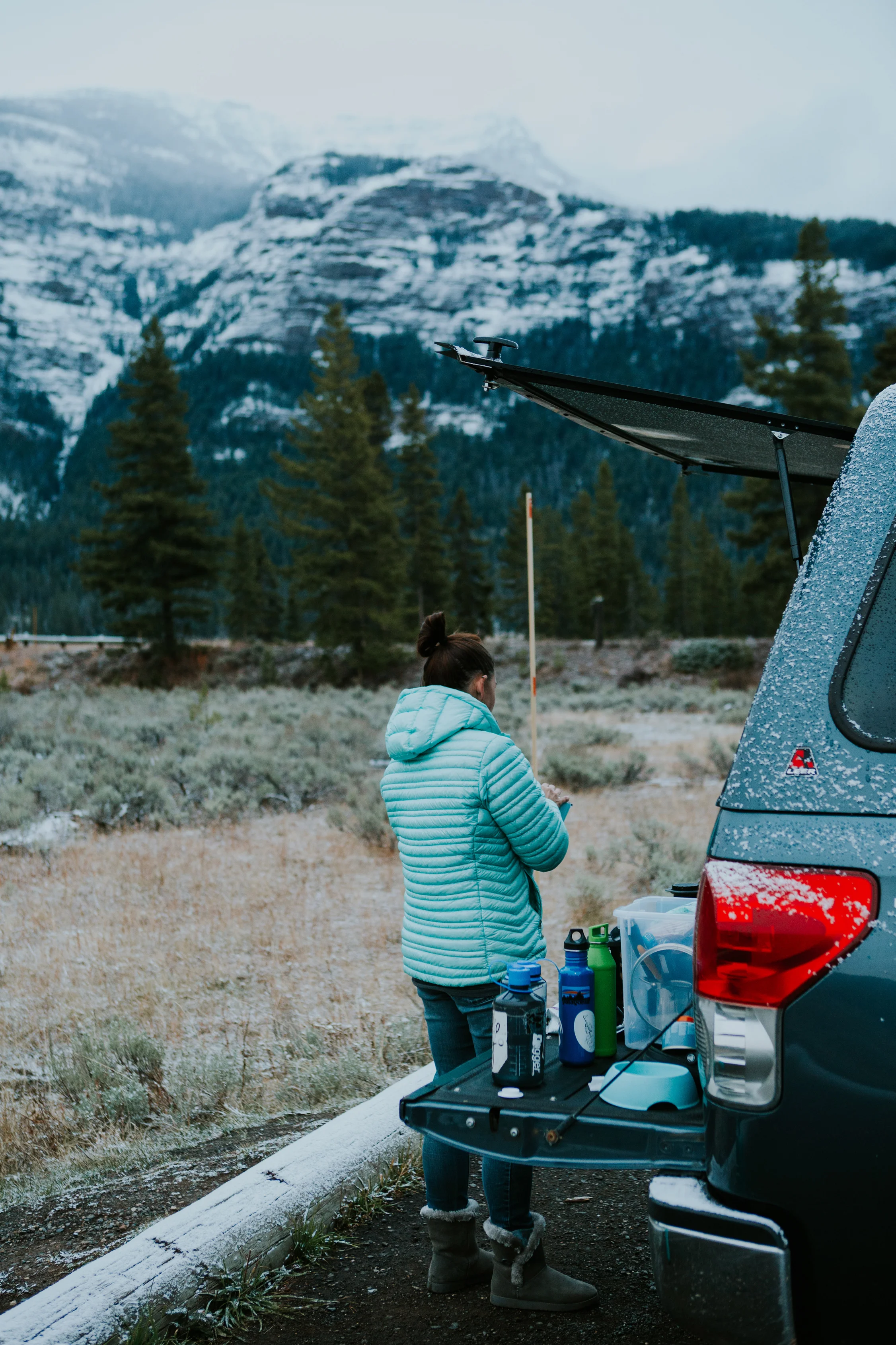CindyGiovagnoli_Yellowstone_National_Park_Montana_Wyoming_bison_pronghorn_snow_elk_truckcamping-016.jpg