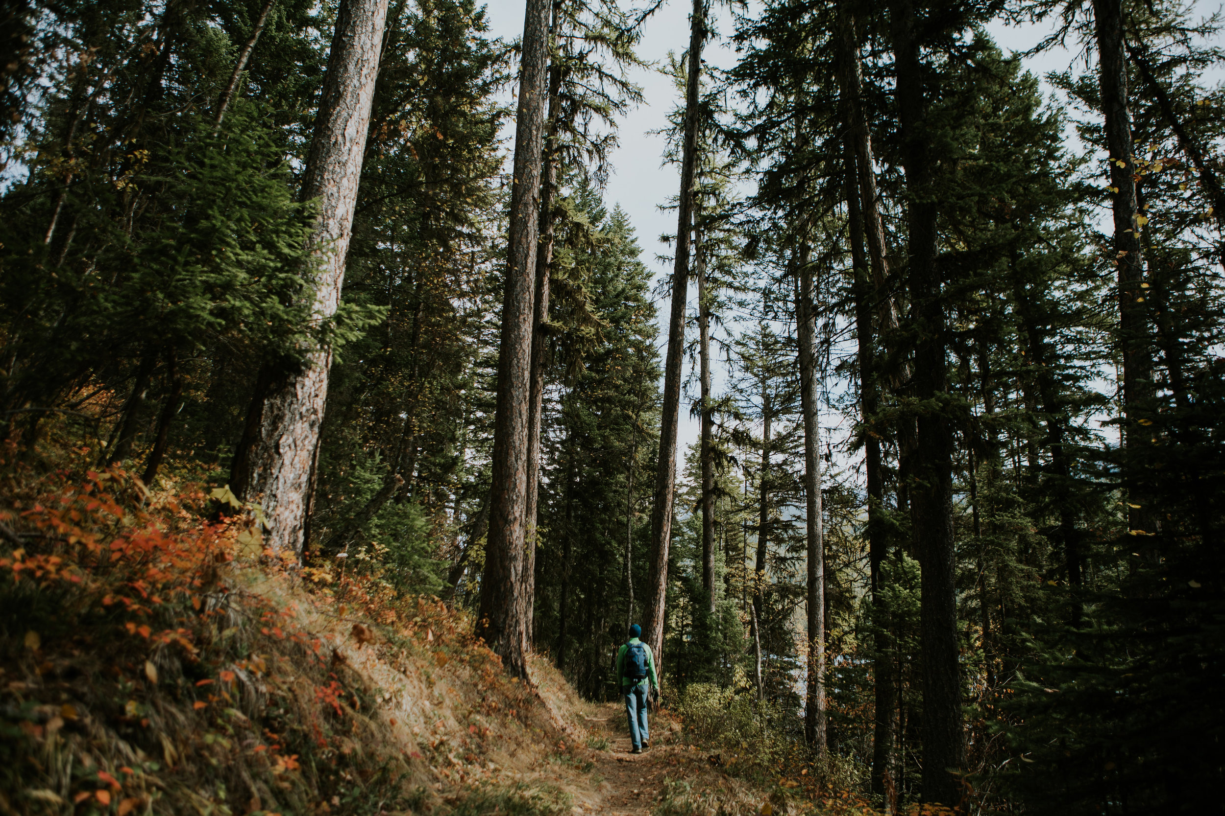 CindyGiovagnoli_Glacier_National_Park_Montana_mountains_lake_fall_autumn_road_trip-024.jpg