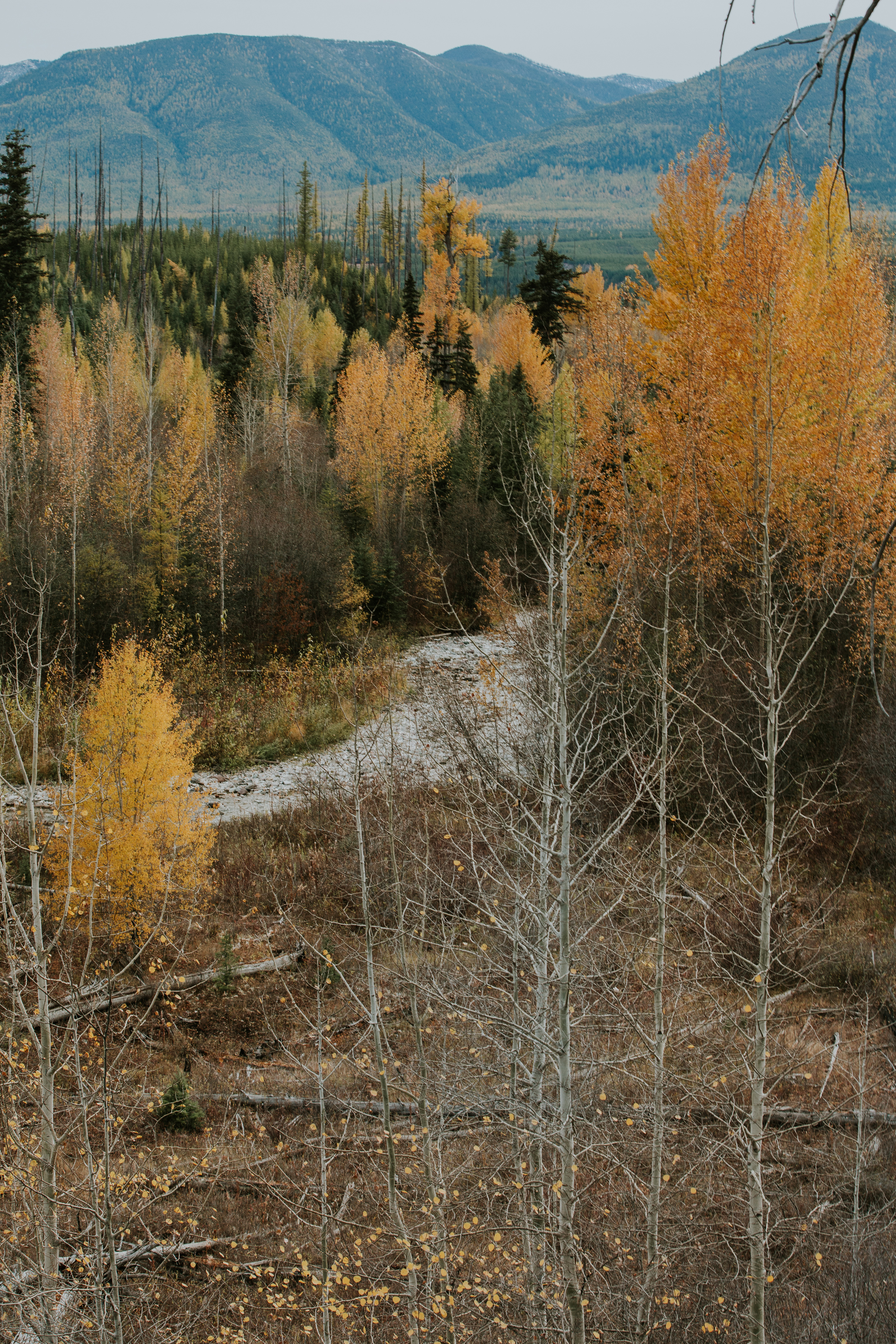 CindyGiovagnoli_Glacier_National_Park_Montana_mountains_lake_fall_autumn_road_trip-033.jpg