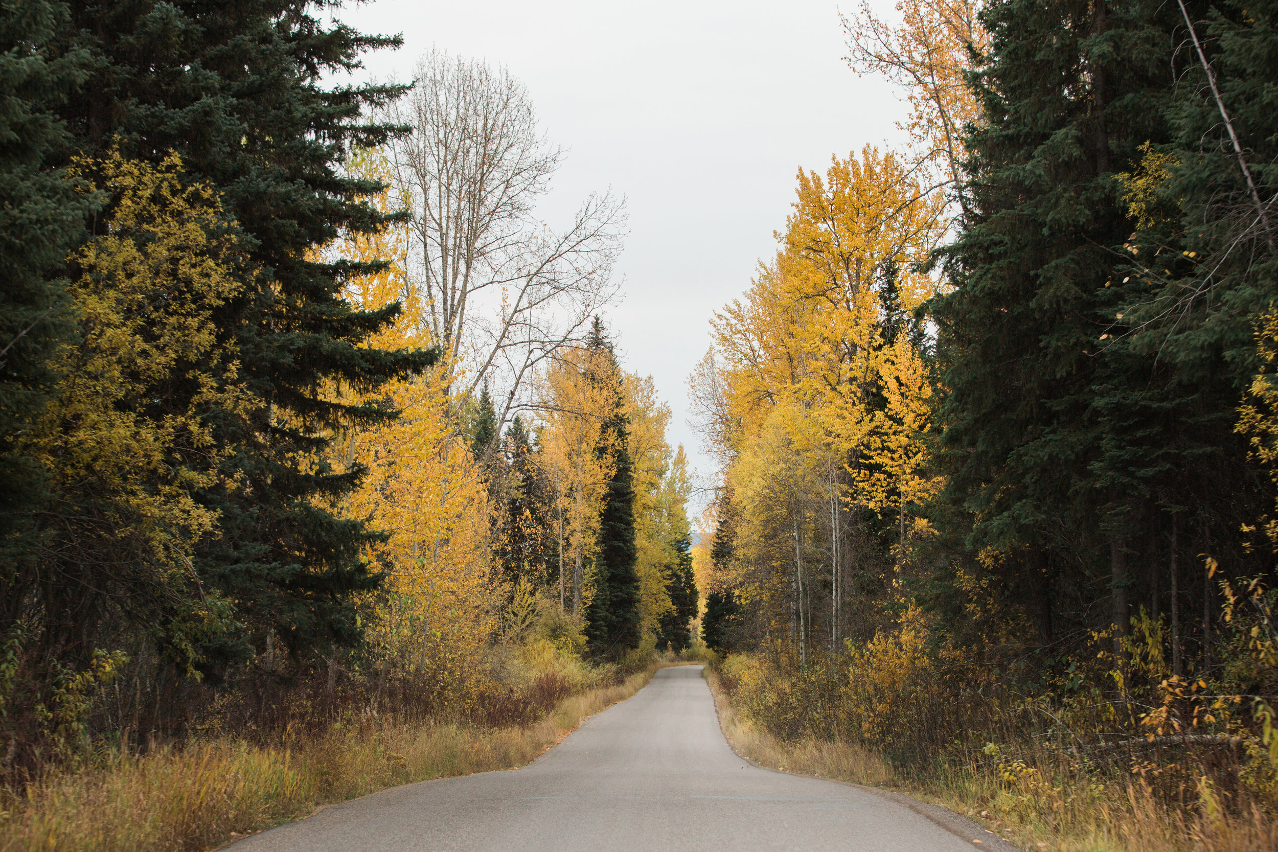 CindyGiovagnoli_Glacier_National_Park_Montana_mountains_lake_fall_autumn_road_trip-036.jpg