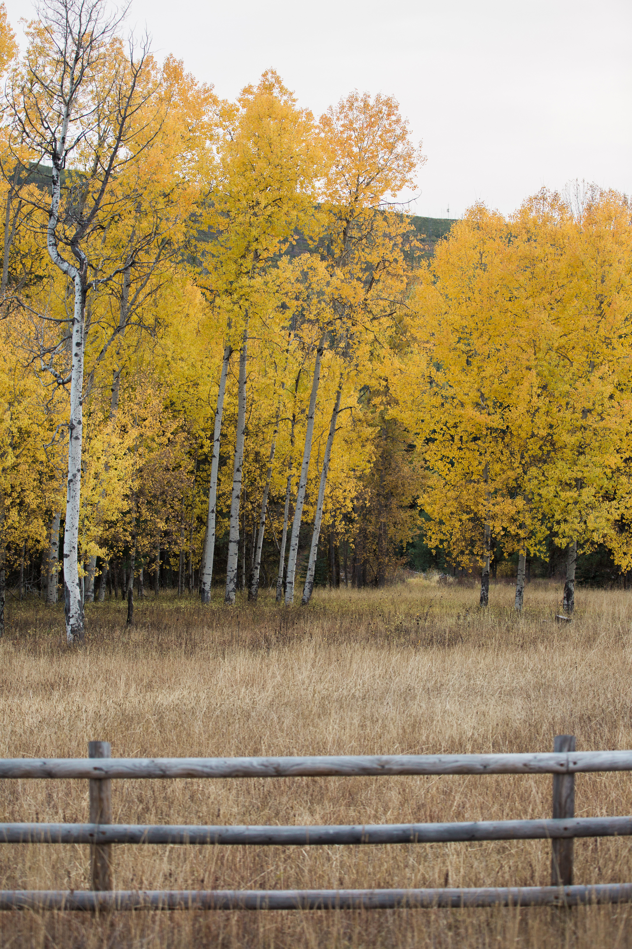 CindyGiovagnoli_Glacier_National_Park_Montana_mountains_lake_fall_autumn_road_trip-039.jpg