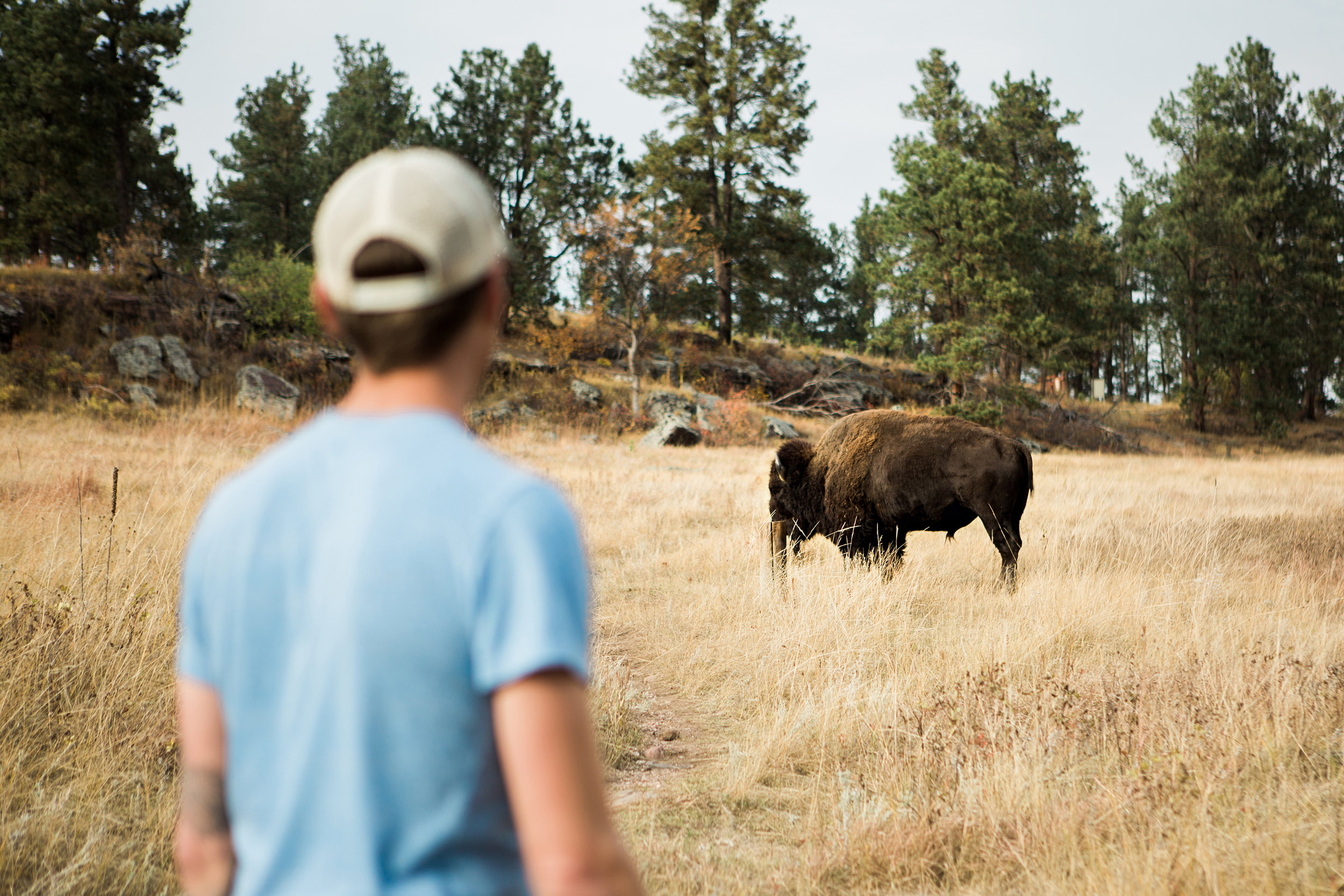 CindyGiovagnoli_South_Dakota_Wind_Cave_Badland_National_Park_Mount_Rushmore_bison_pronghorn_hiking_prairie-022.jpg