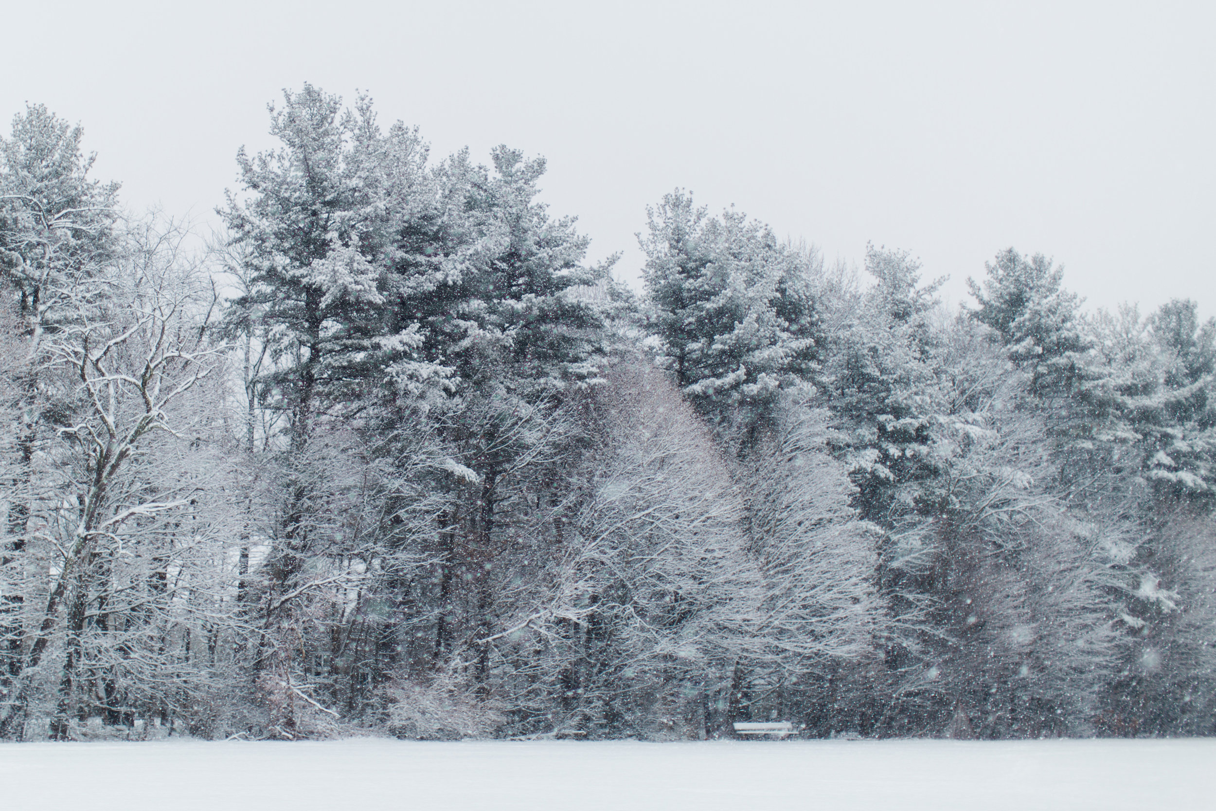 CindyGiovagnoli_New_Hampshire_New_England_snow_winter-002.jpg