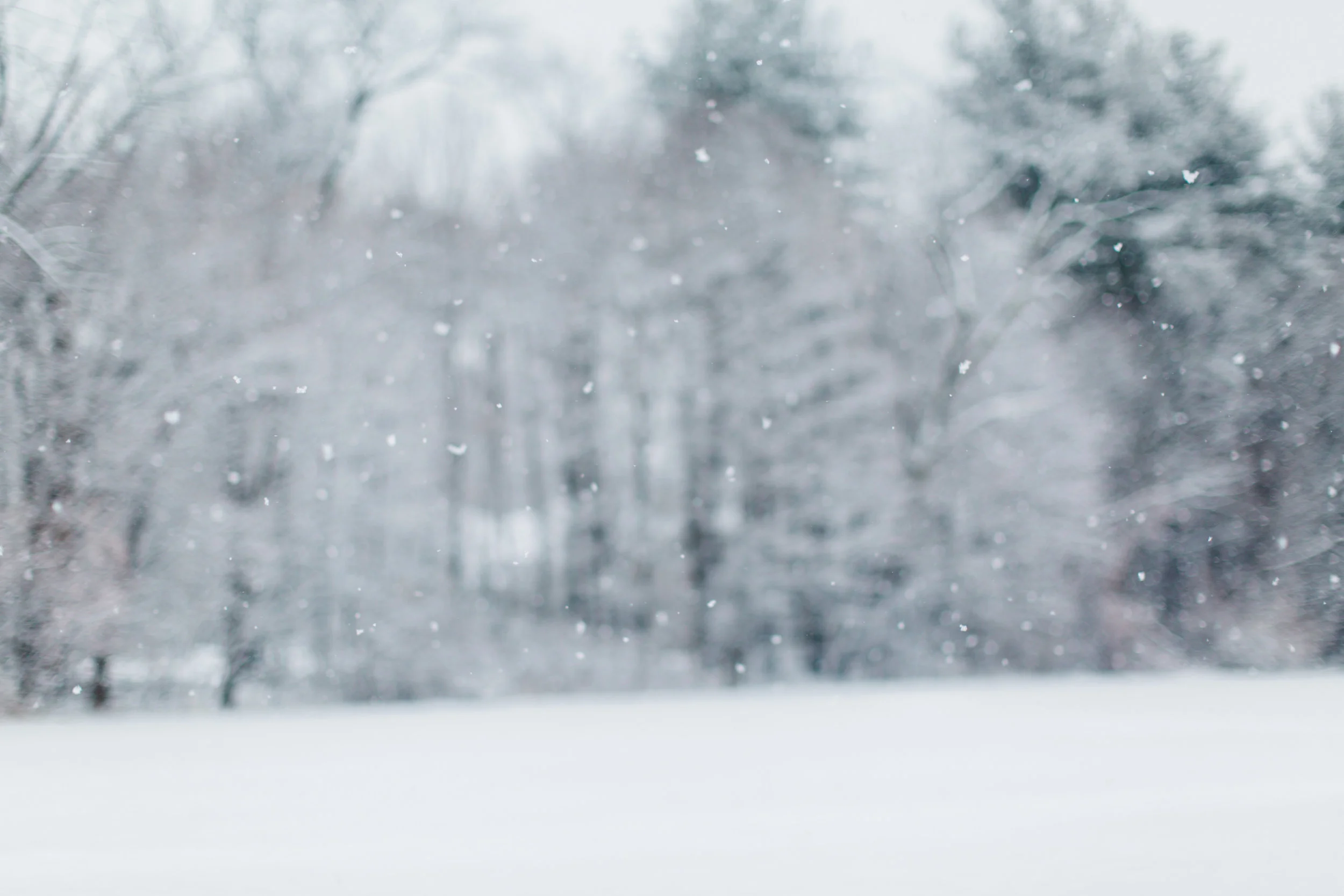 CindyGiovagnoli_New_Hampshire_New_England_snow_winter-007.jpg